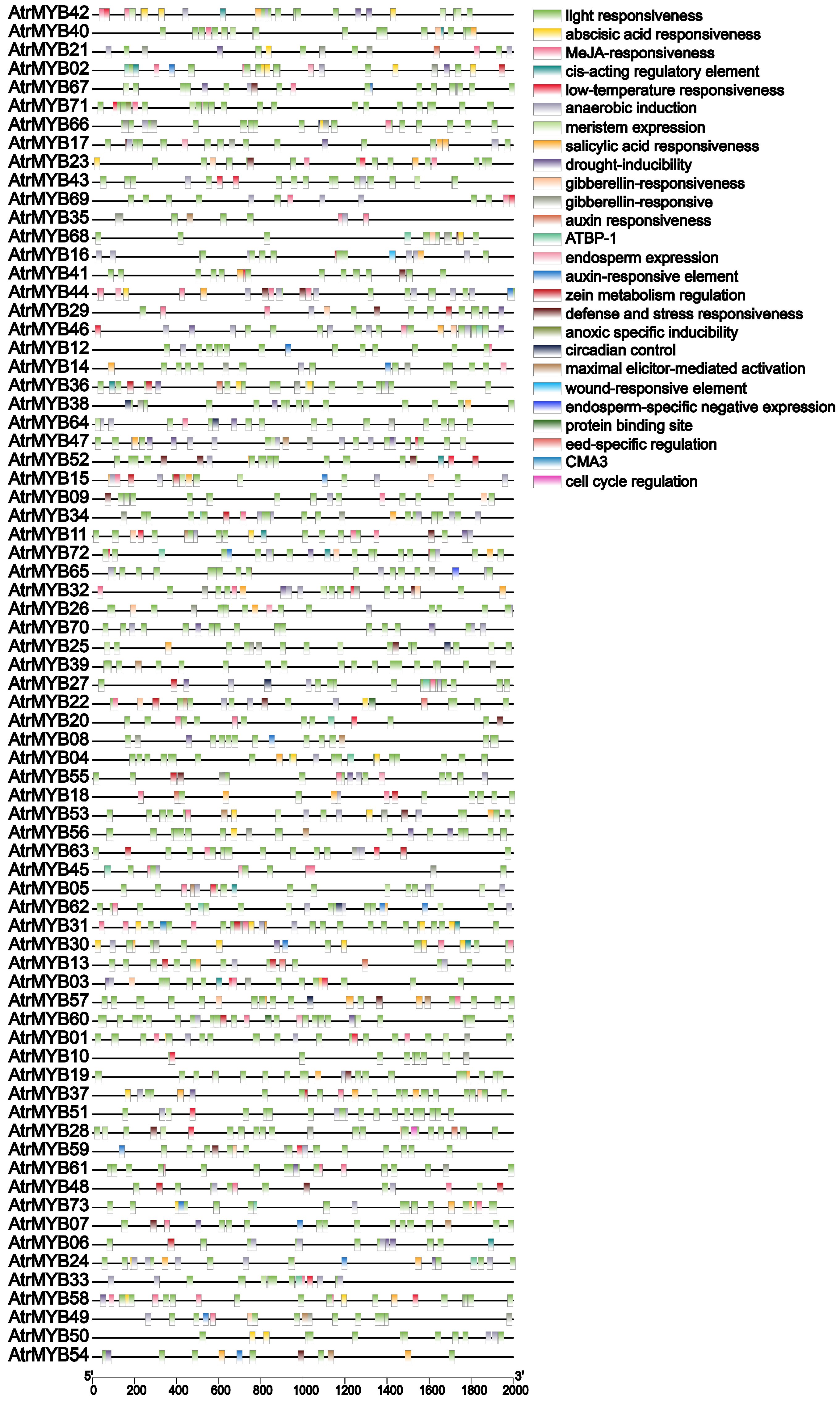 Plants 14 00324 g006