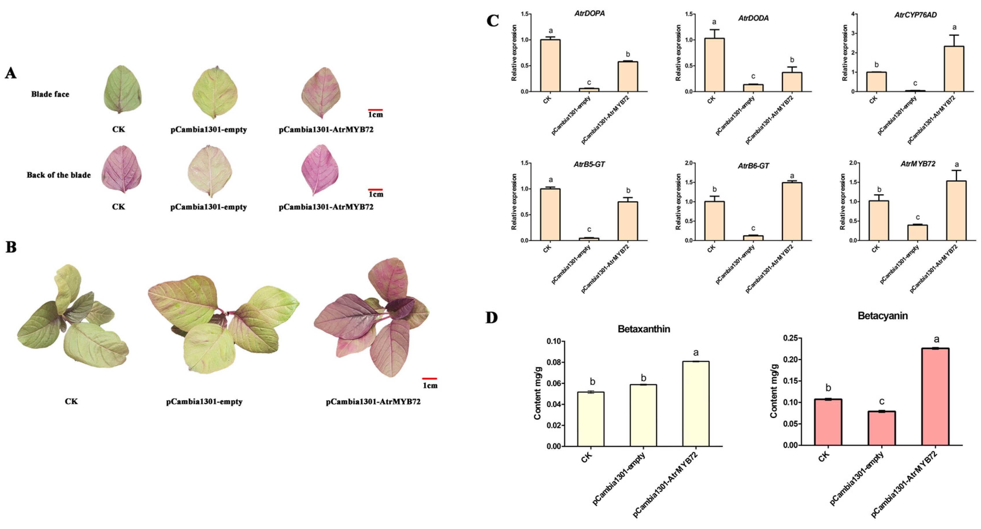 Plants 14 00324 g009