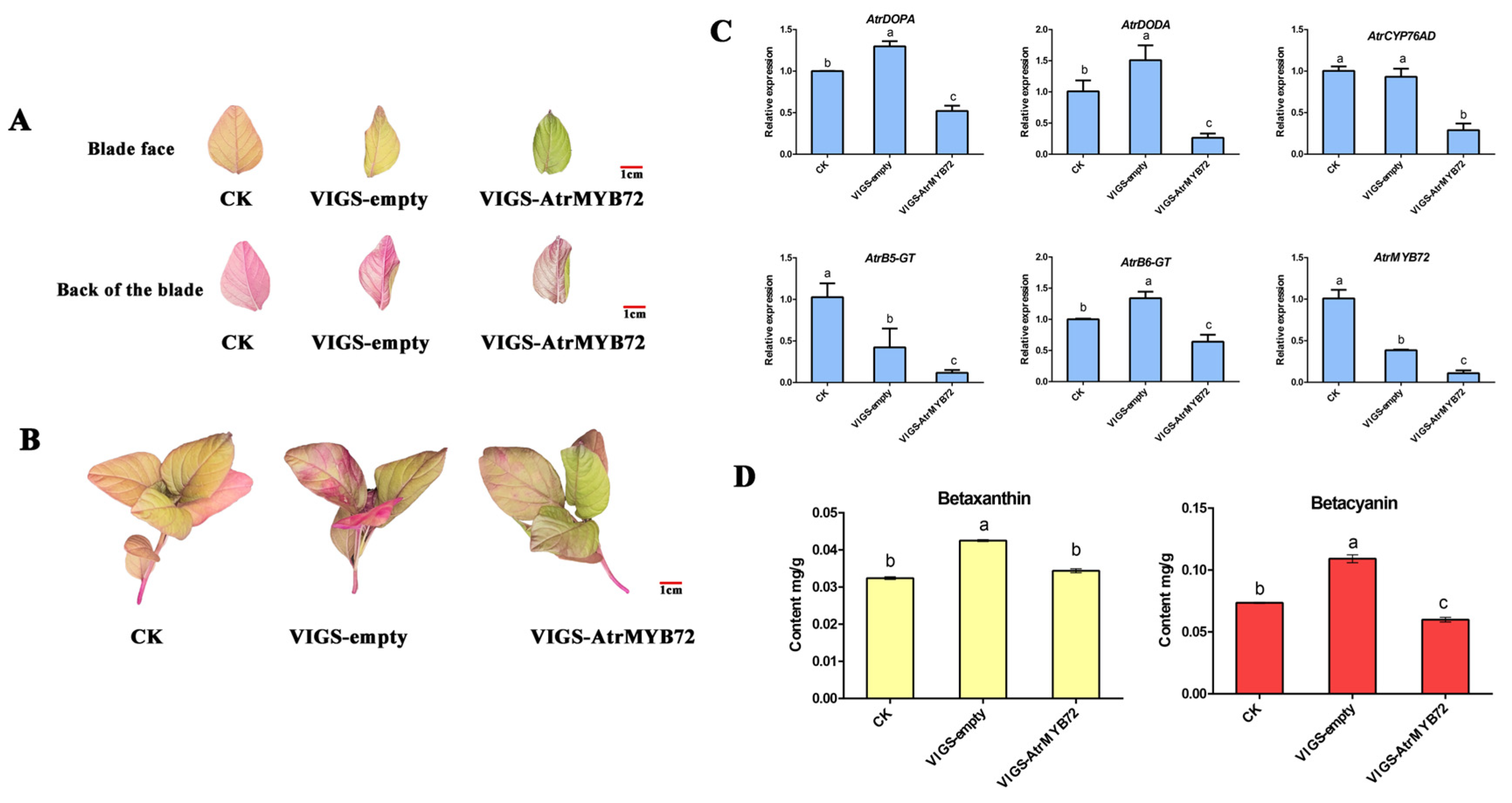 Plants 14 00324 g010