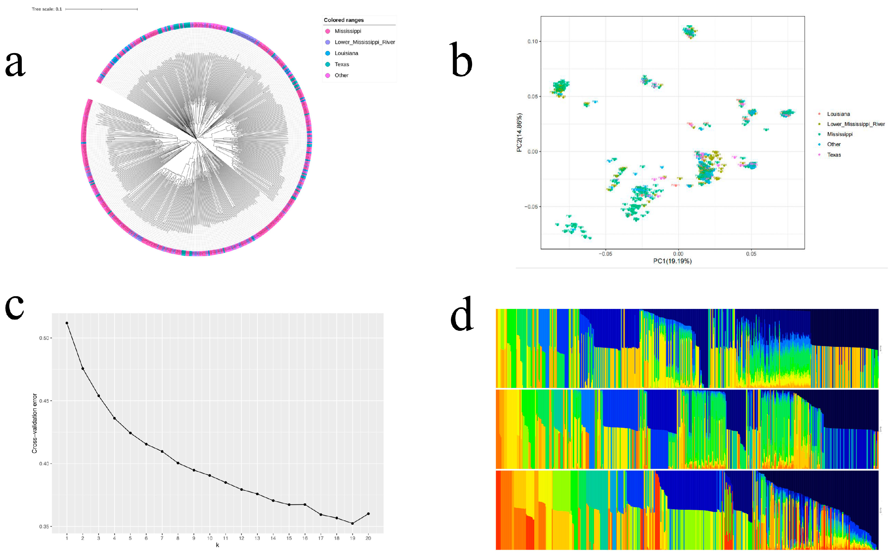 Plants 14 00330 g004