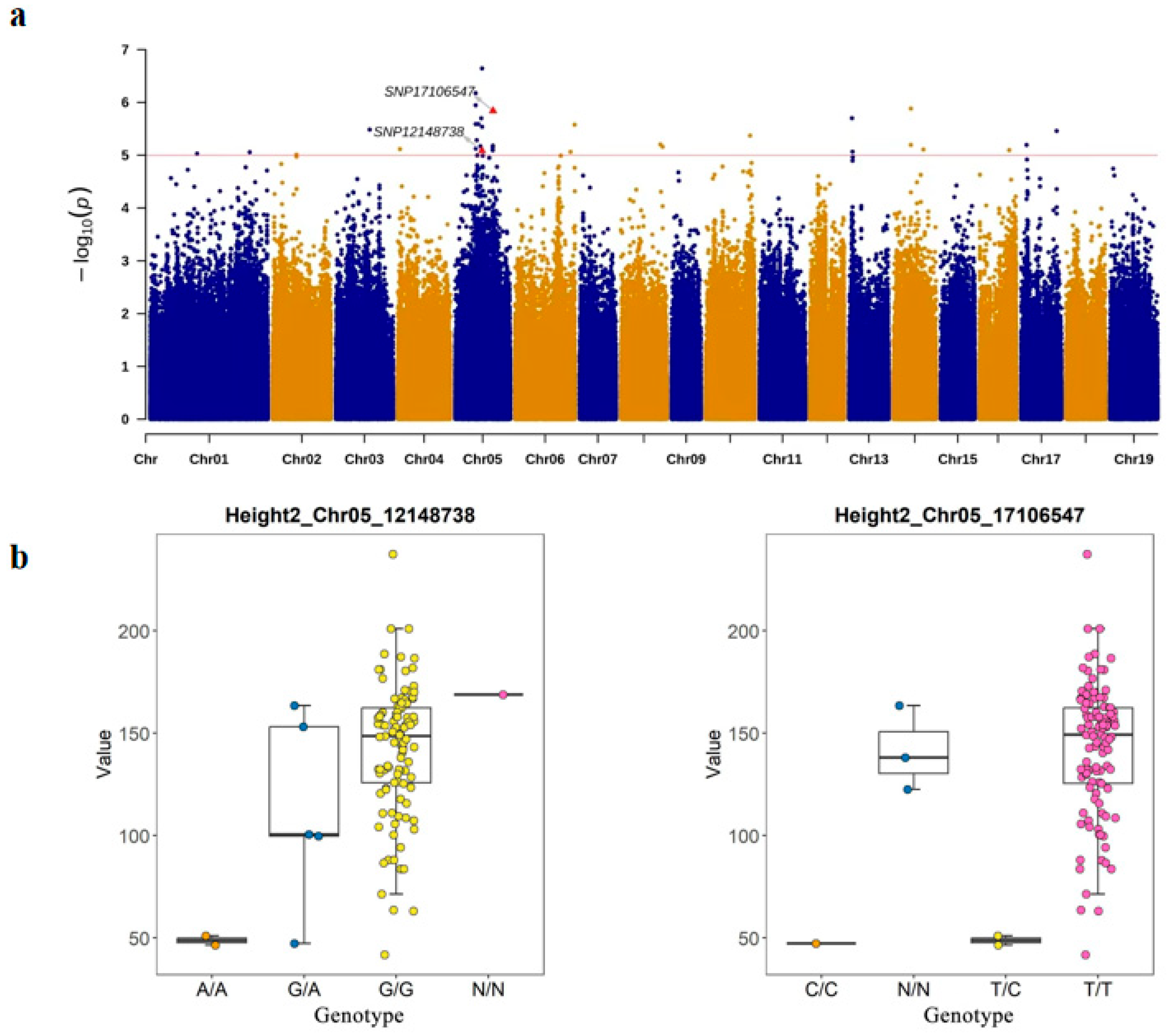 Plants 14 00330 g007