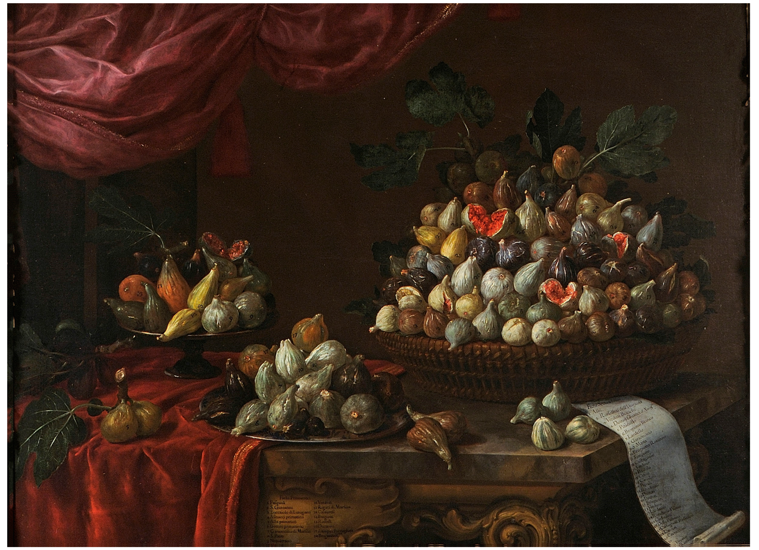 Plants 14 00333 g001