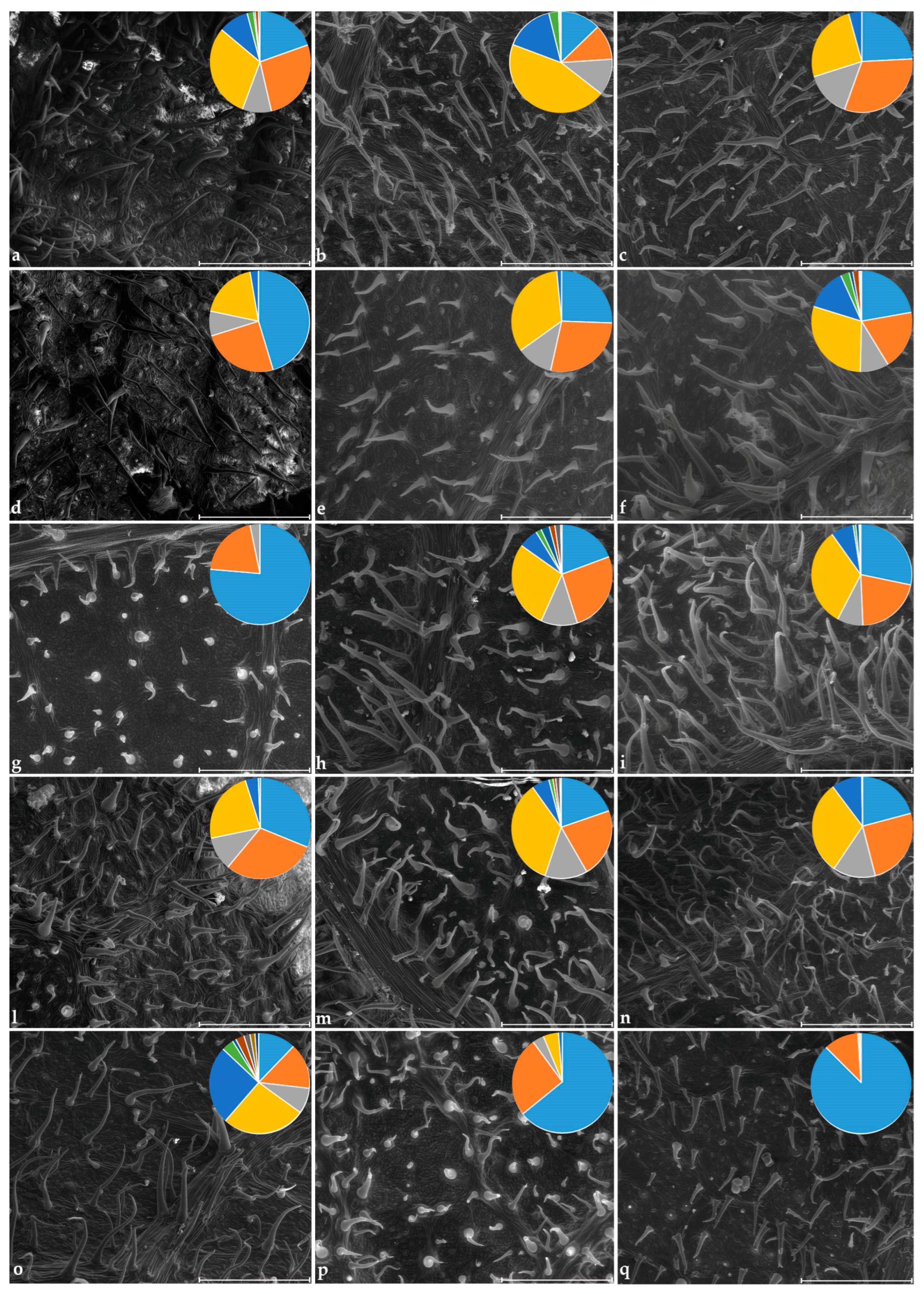 Plants 14 00333 g011