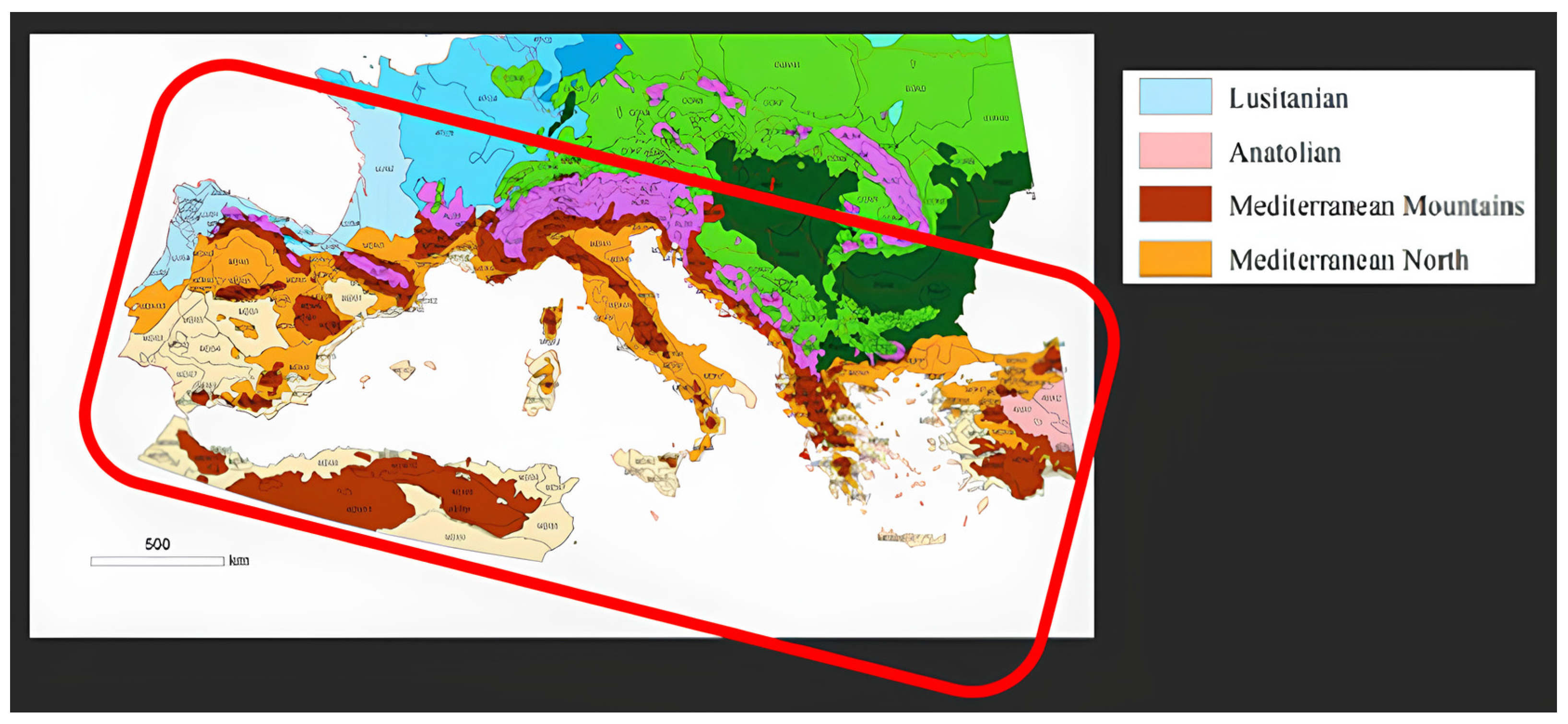 Plants 14 00335 g002