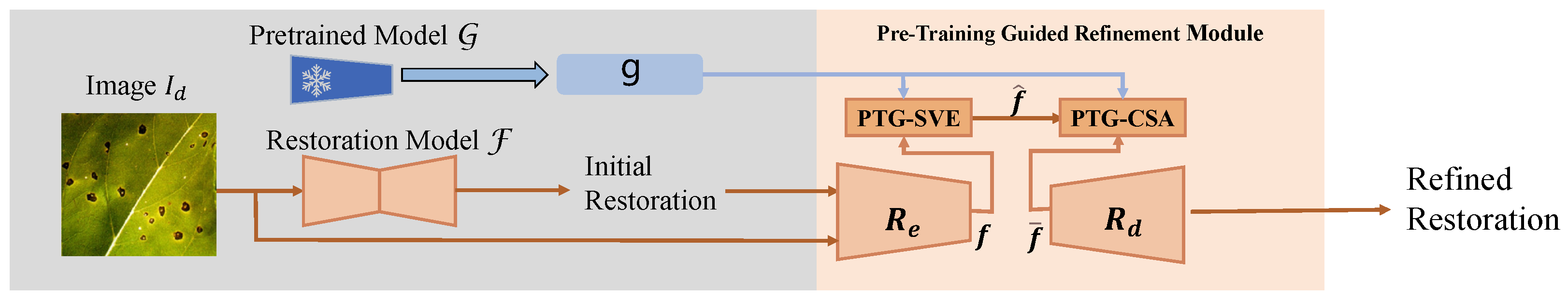 Plants 14 00339 g002