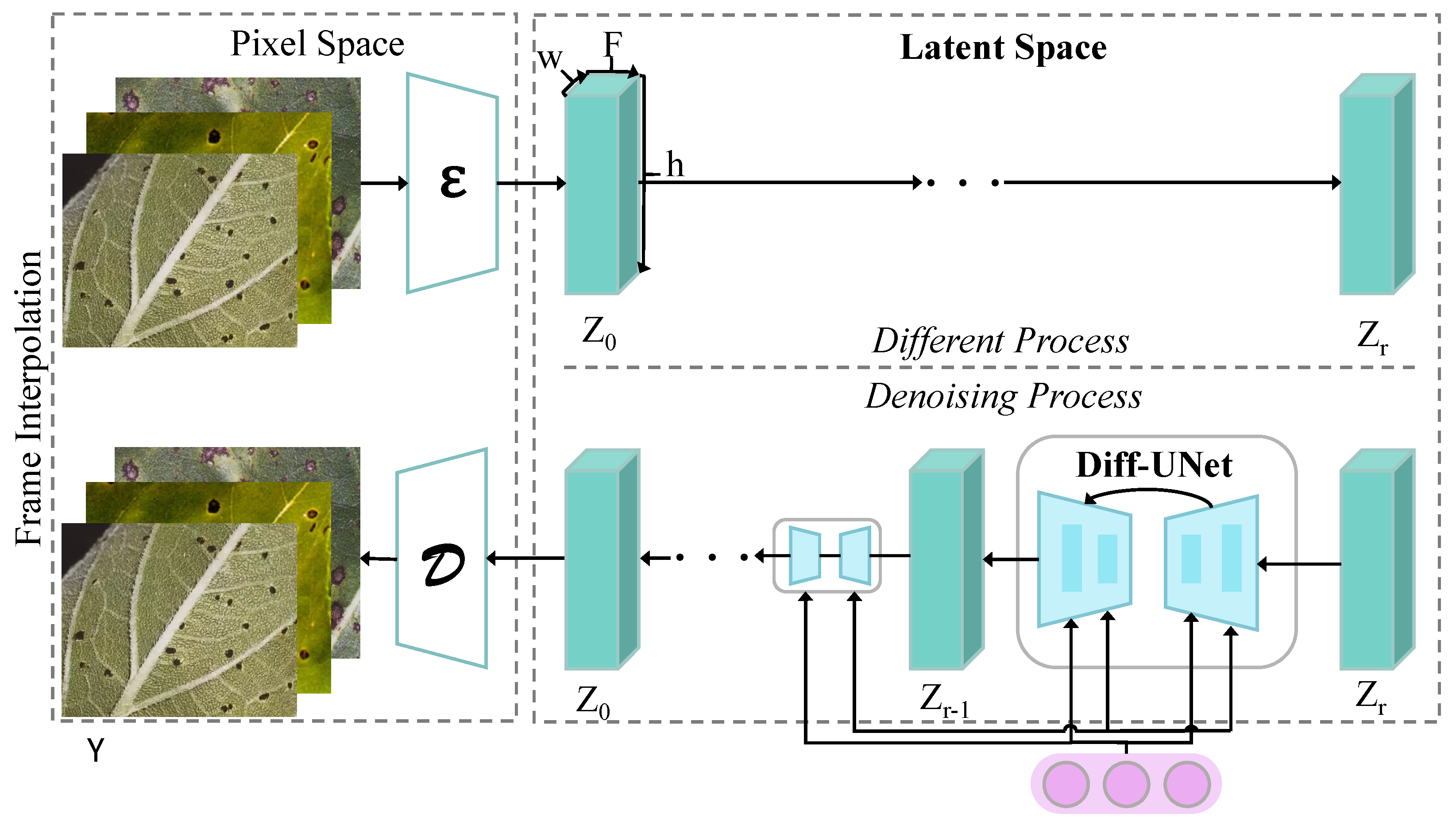 Plants 14 00339 g003