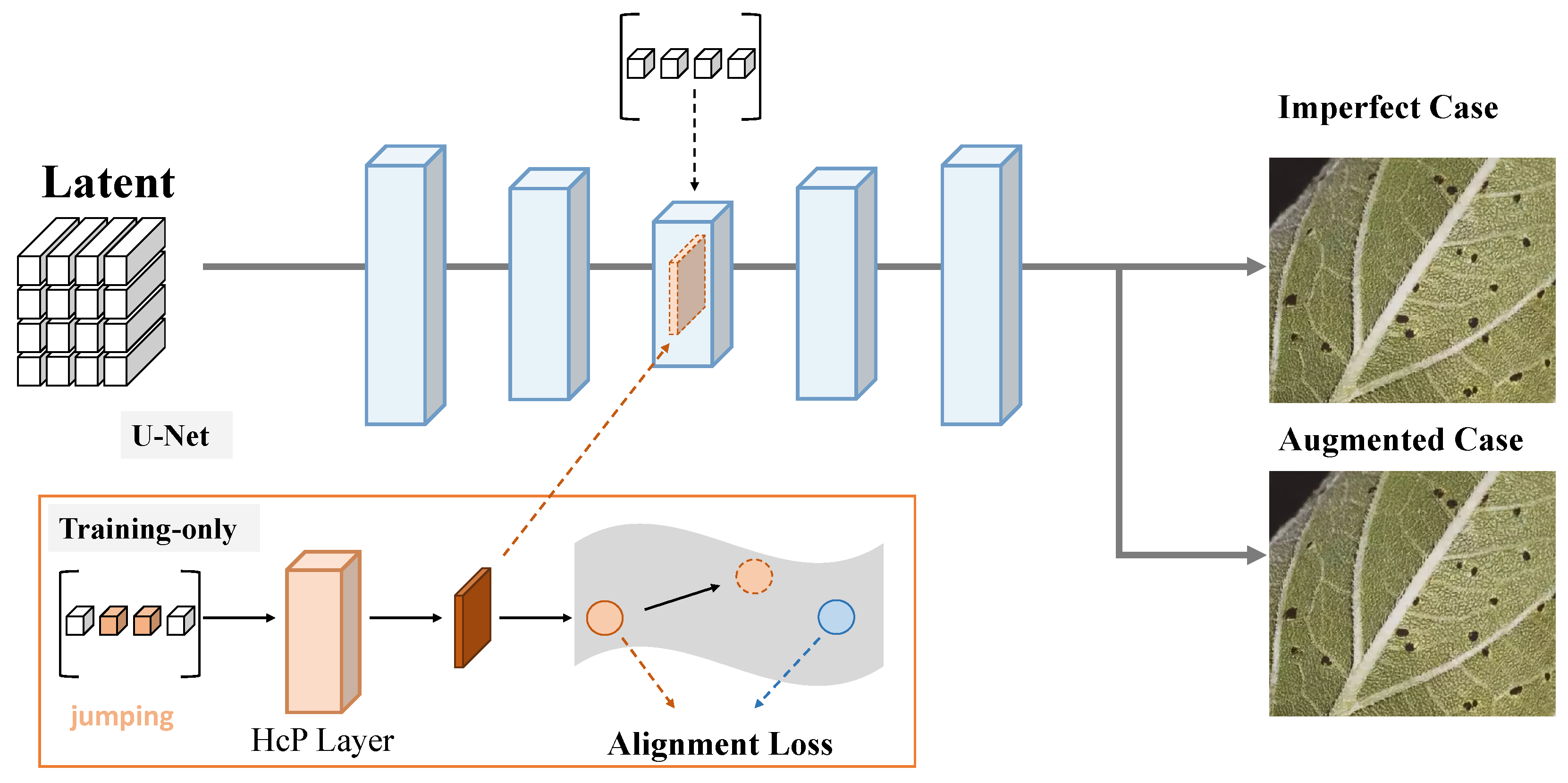 Plants 14 00339 g004