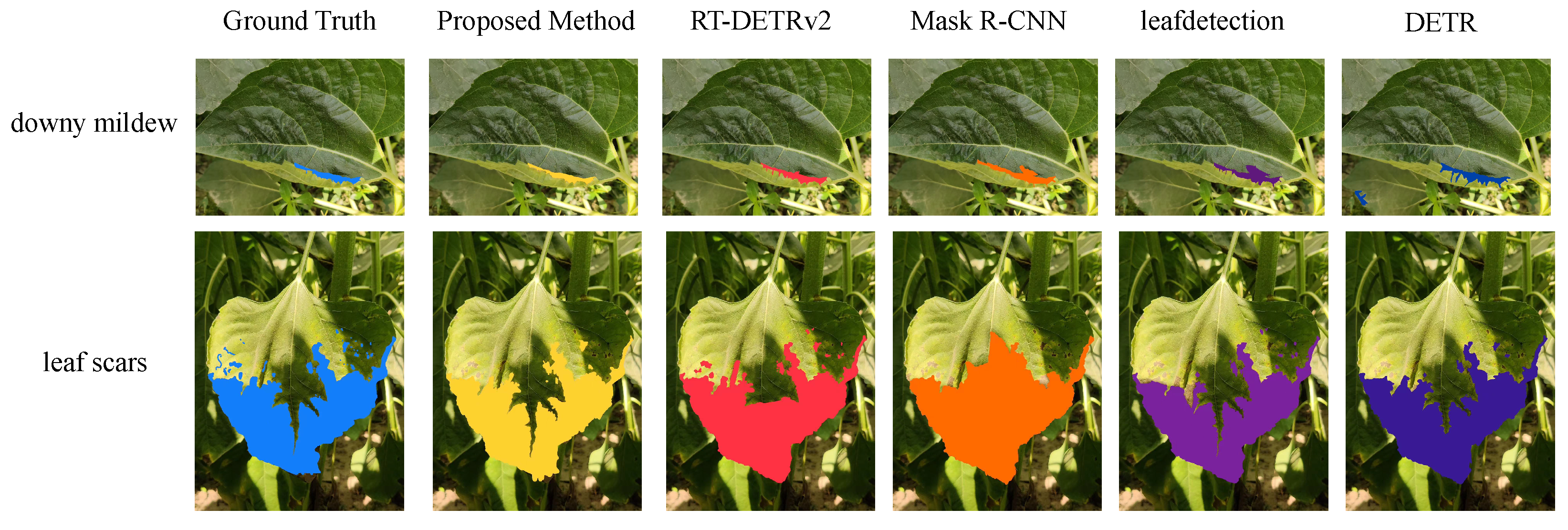 Plants 14 00339 g005