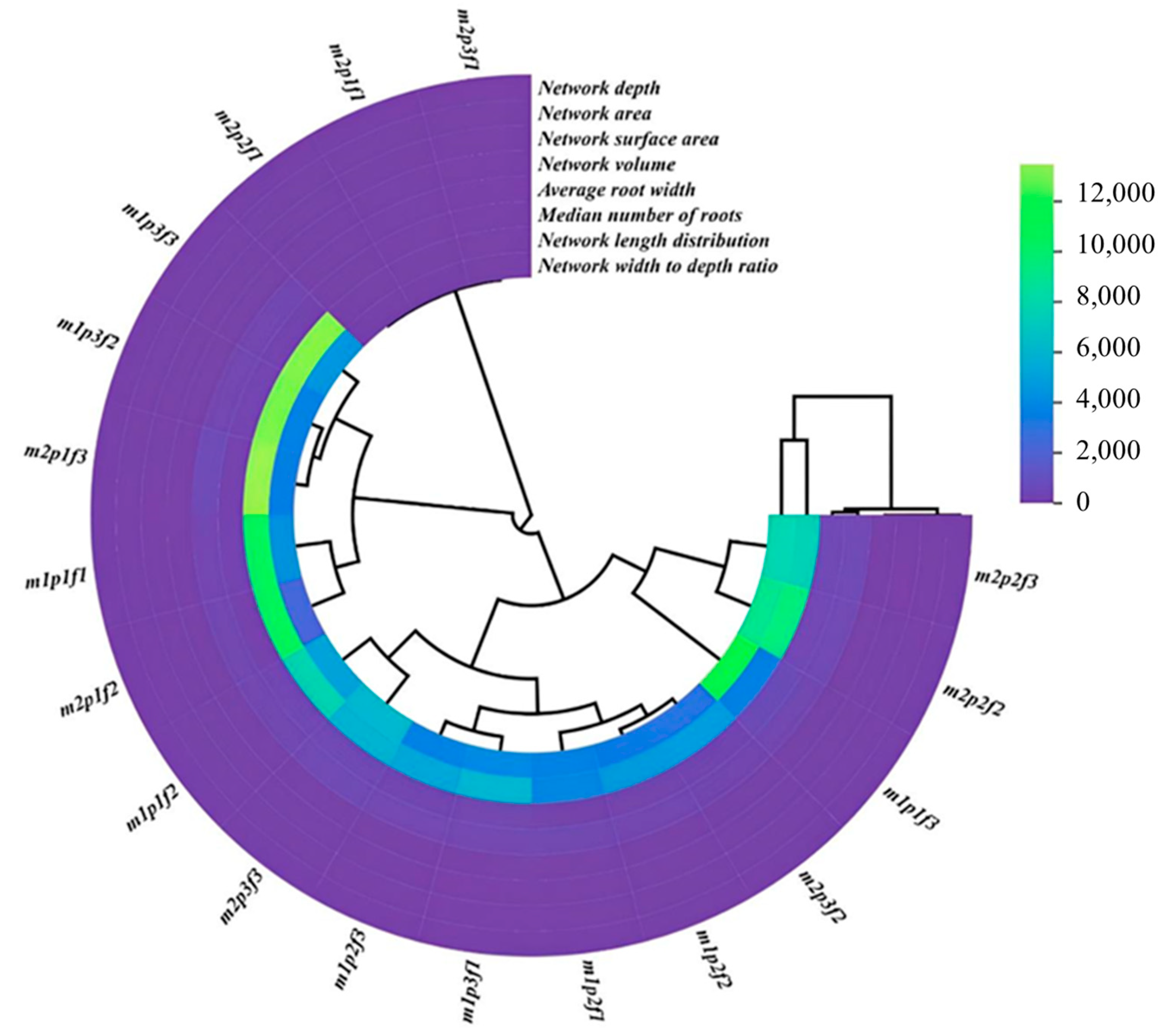 Plants 14 00341 g003