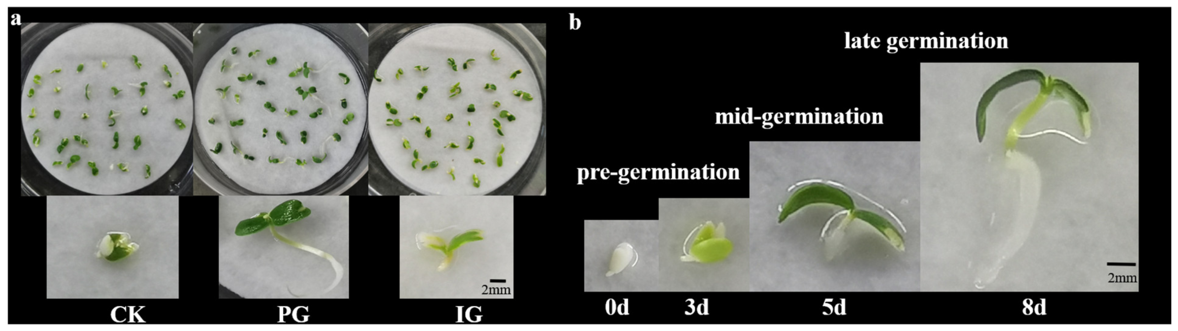 Plants 14 00344 g002