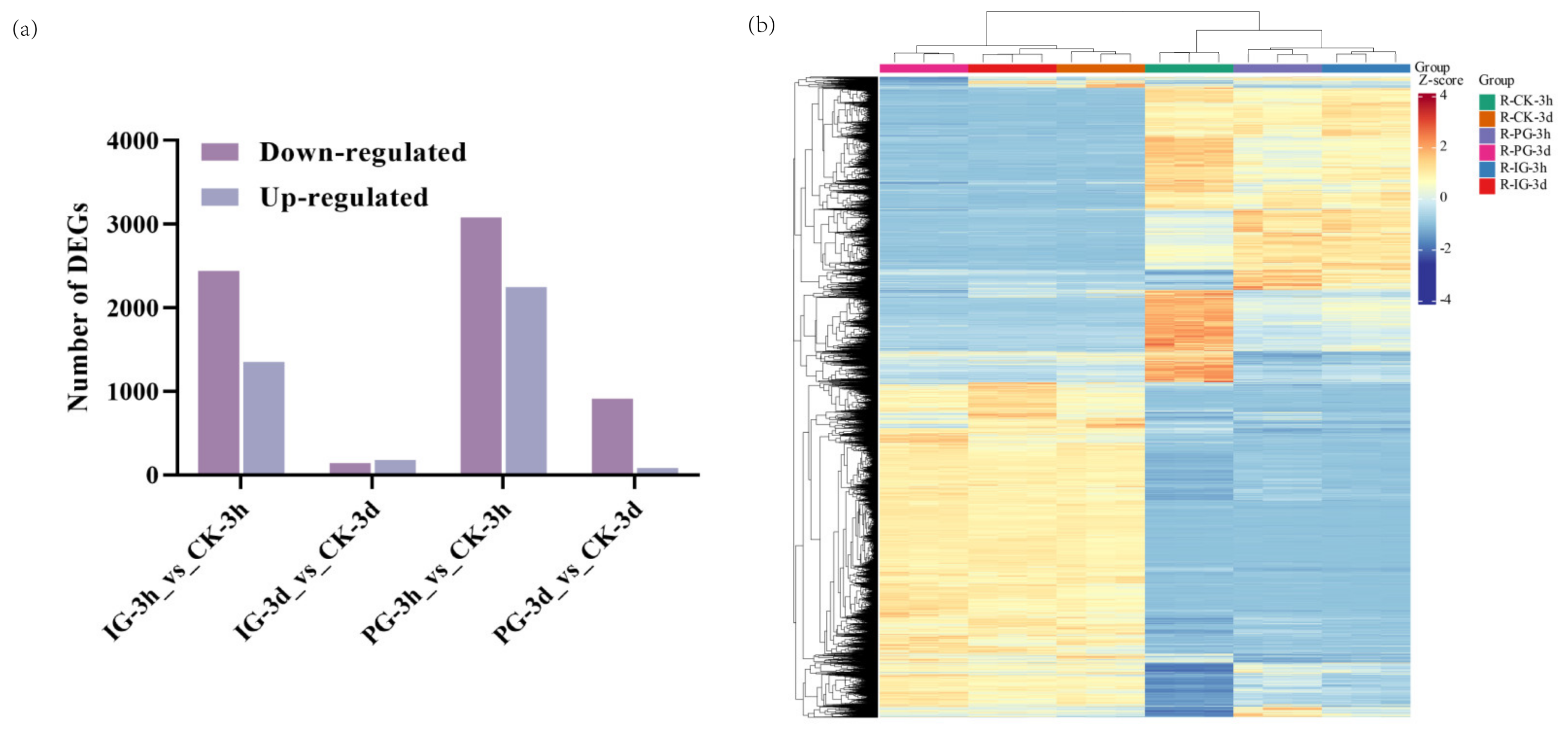 Plants 14 00344 g007