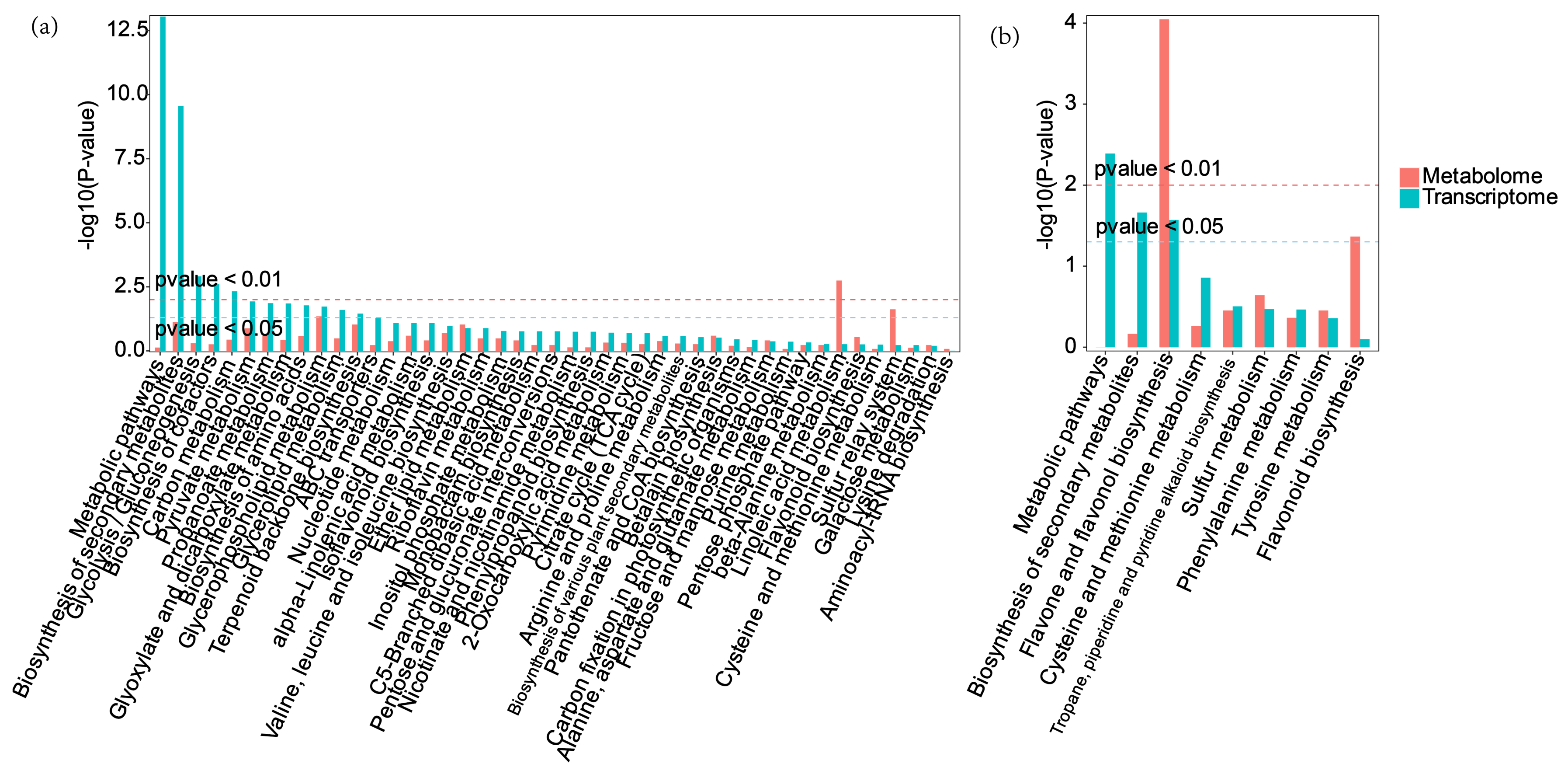 Plants 14 00344 g011