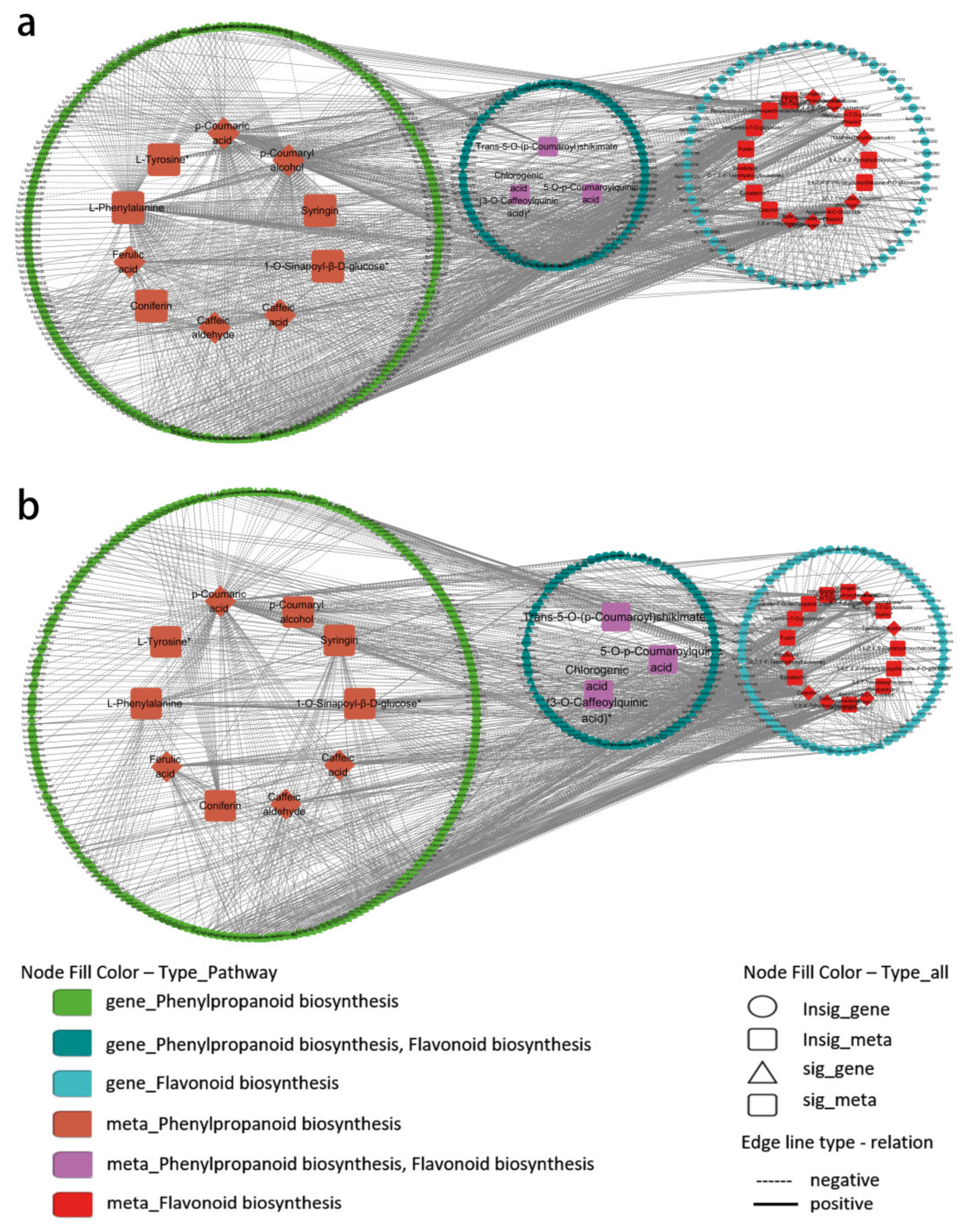 Plants 14 00344 g013