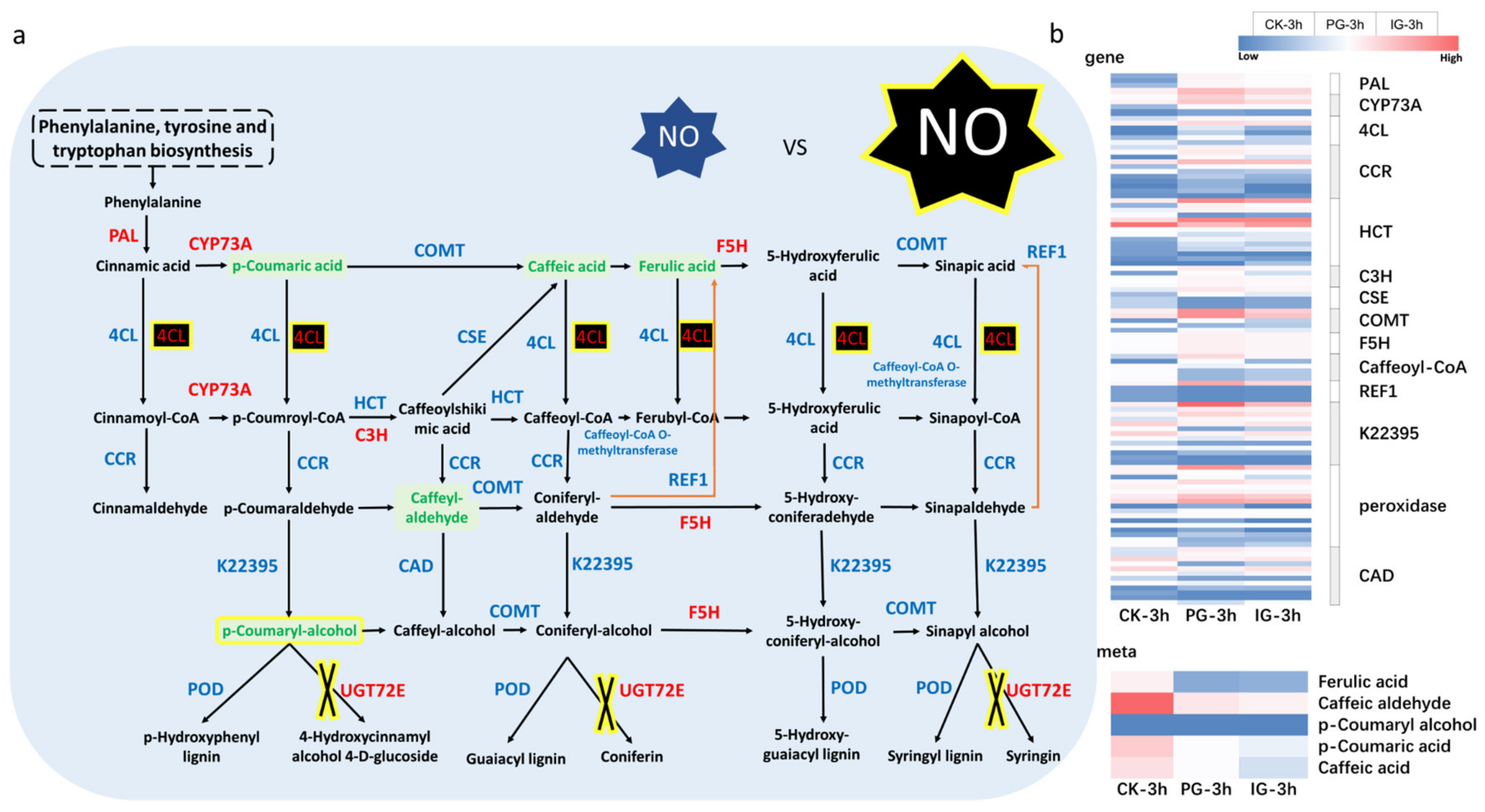Plants 14 00344 g014