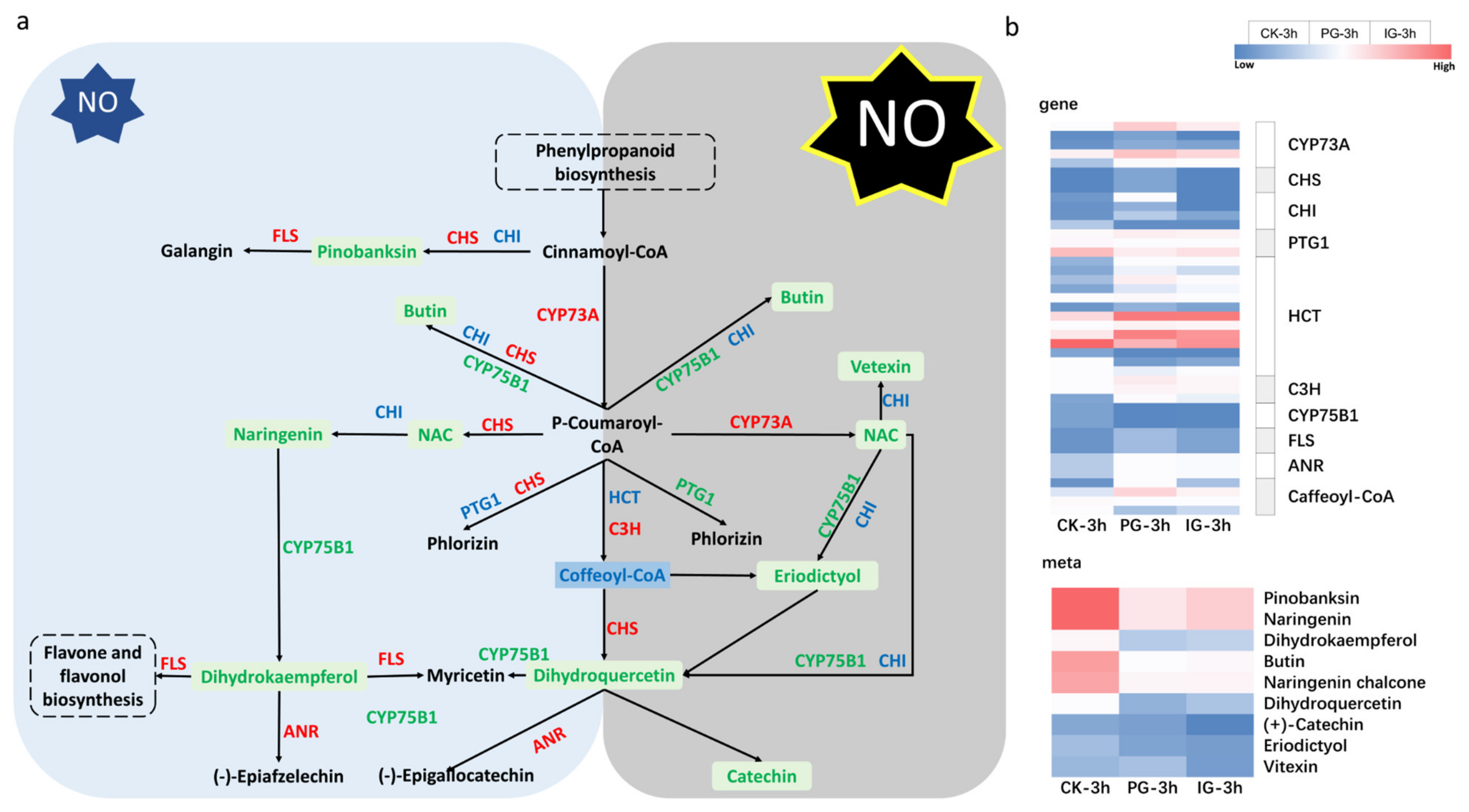 Plants 14 00344 g015