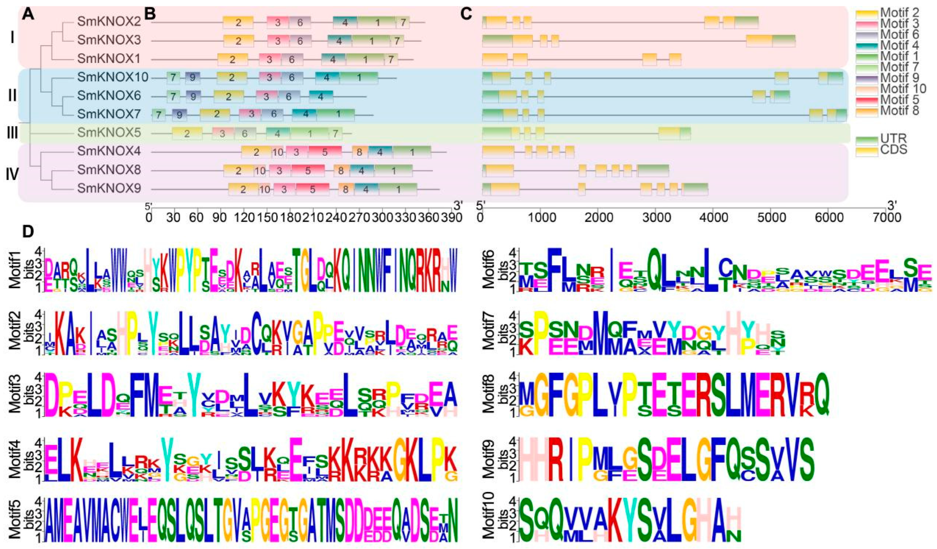 Plants 14 00348 g003