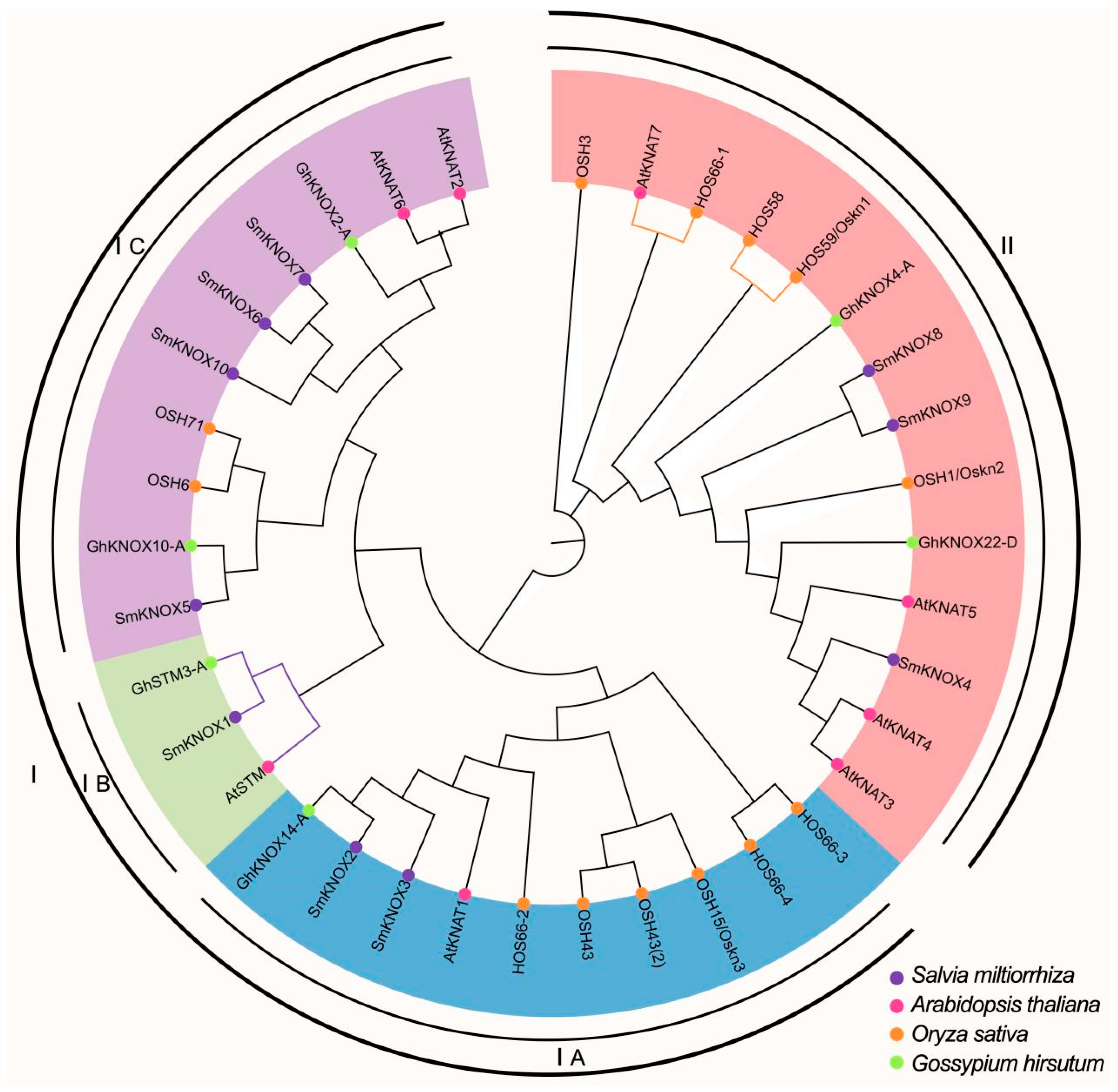 Plants 14 00348 g004