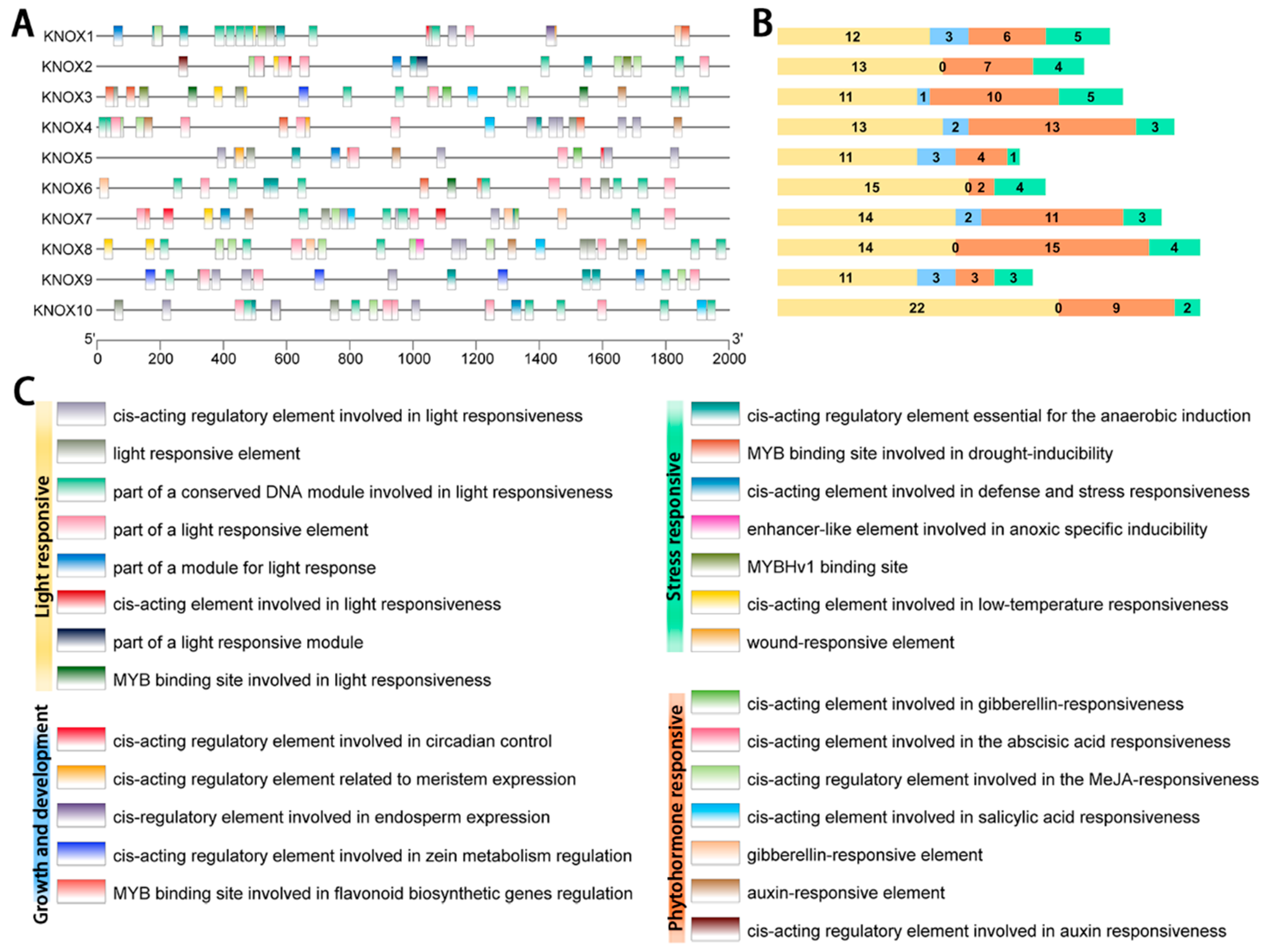 Plants 14 00348 g005