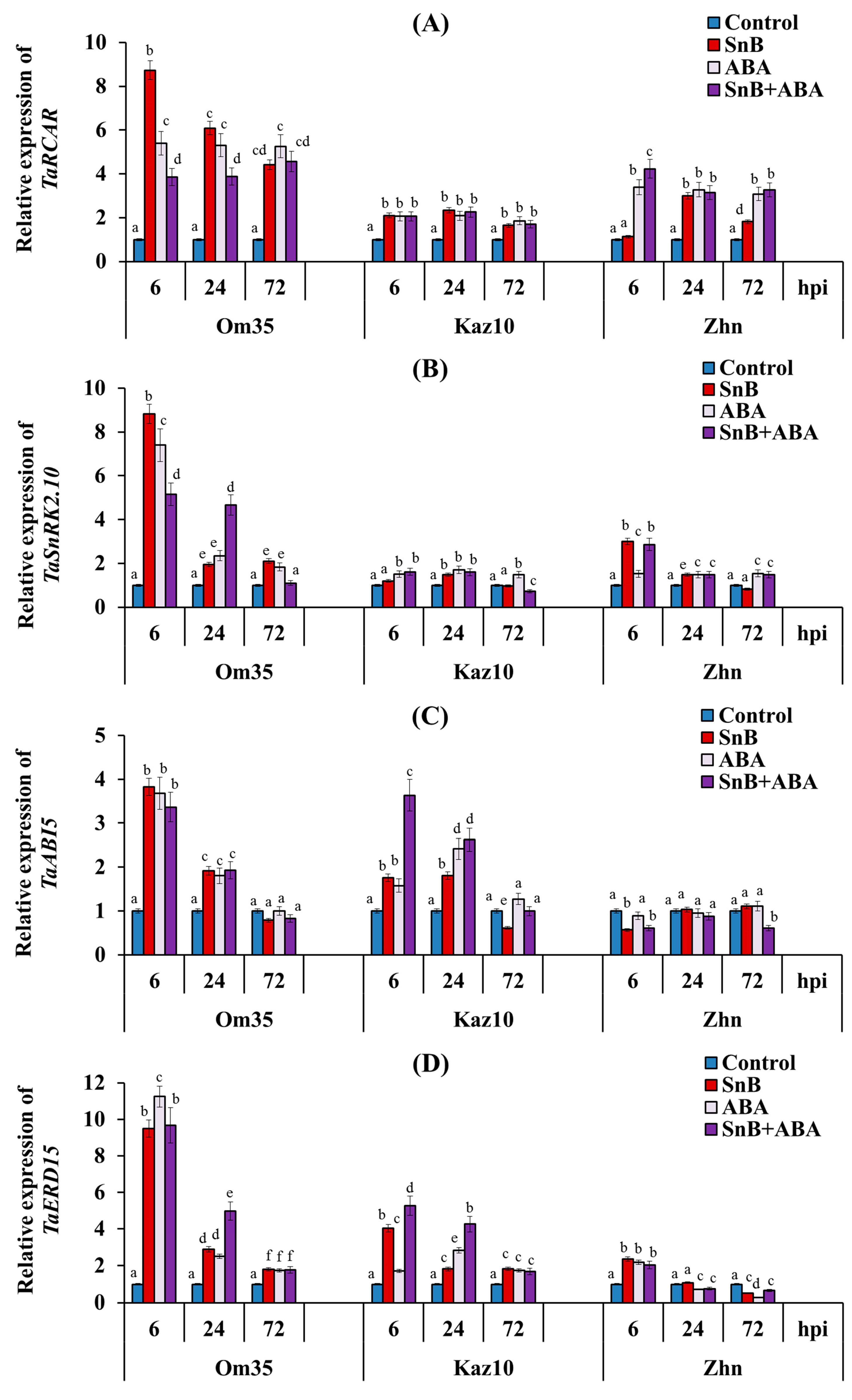 Plants 14 00355 g006 Plants 14 00355 g006