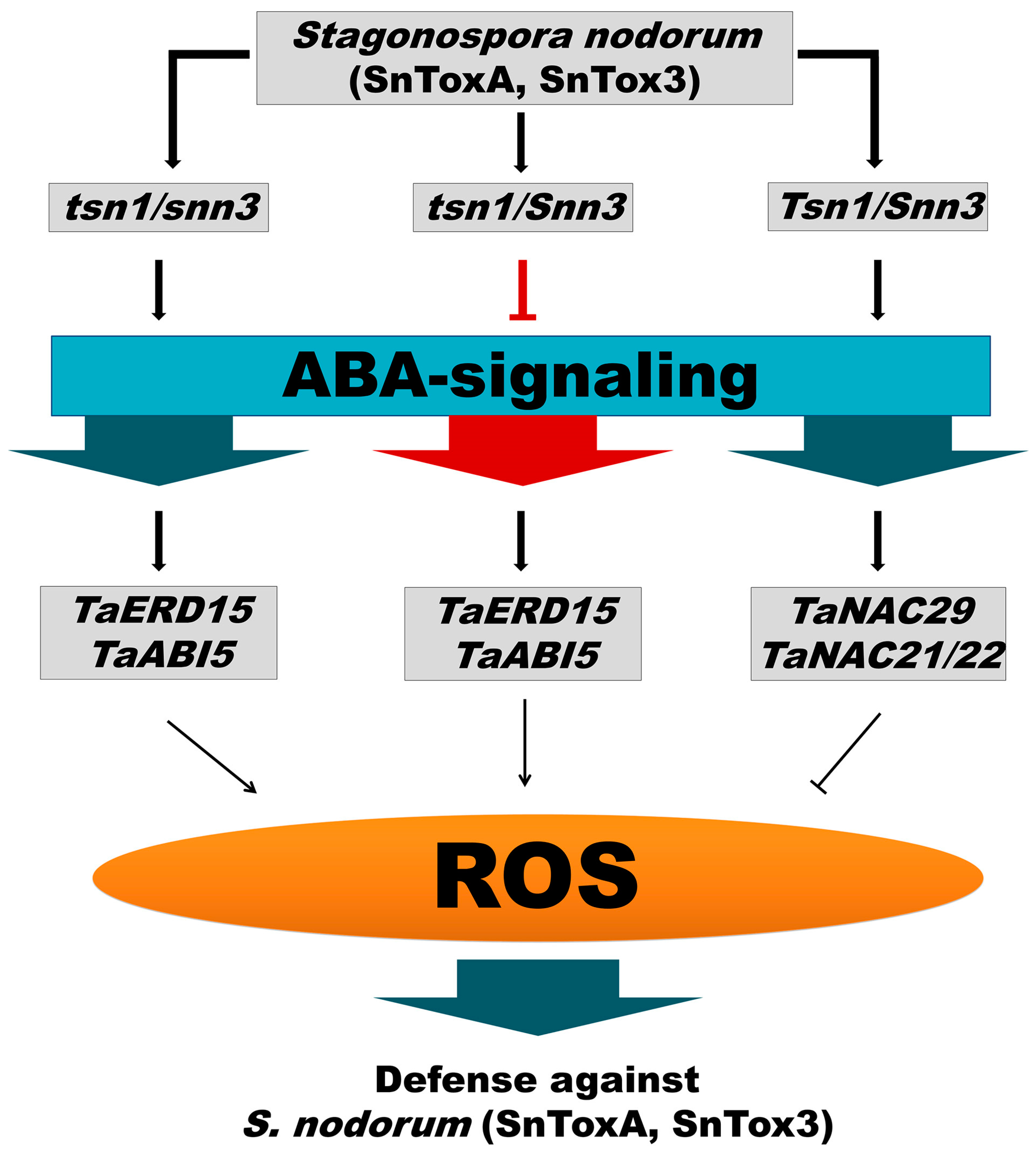 Plants 14 00355 g008 Plants 14 00355 g008