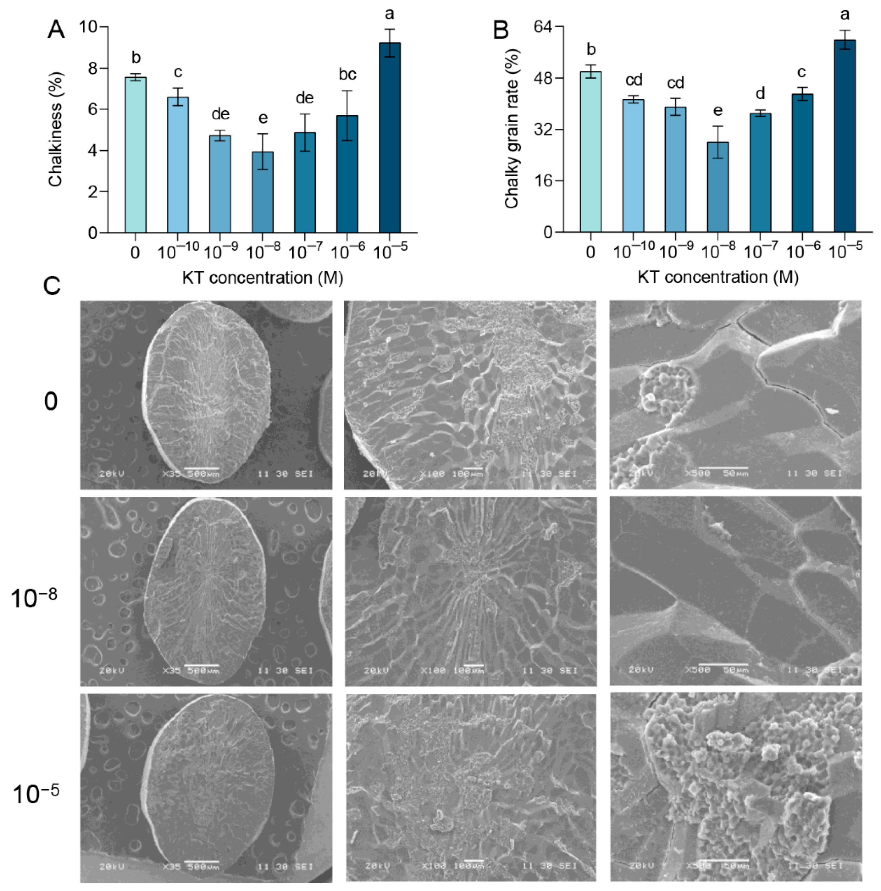 Plants 14 00358 g002