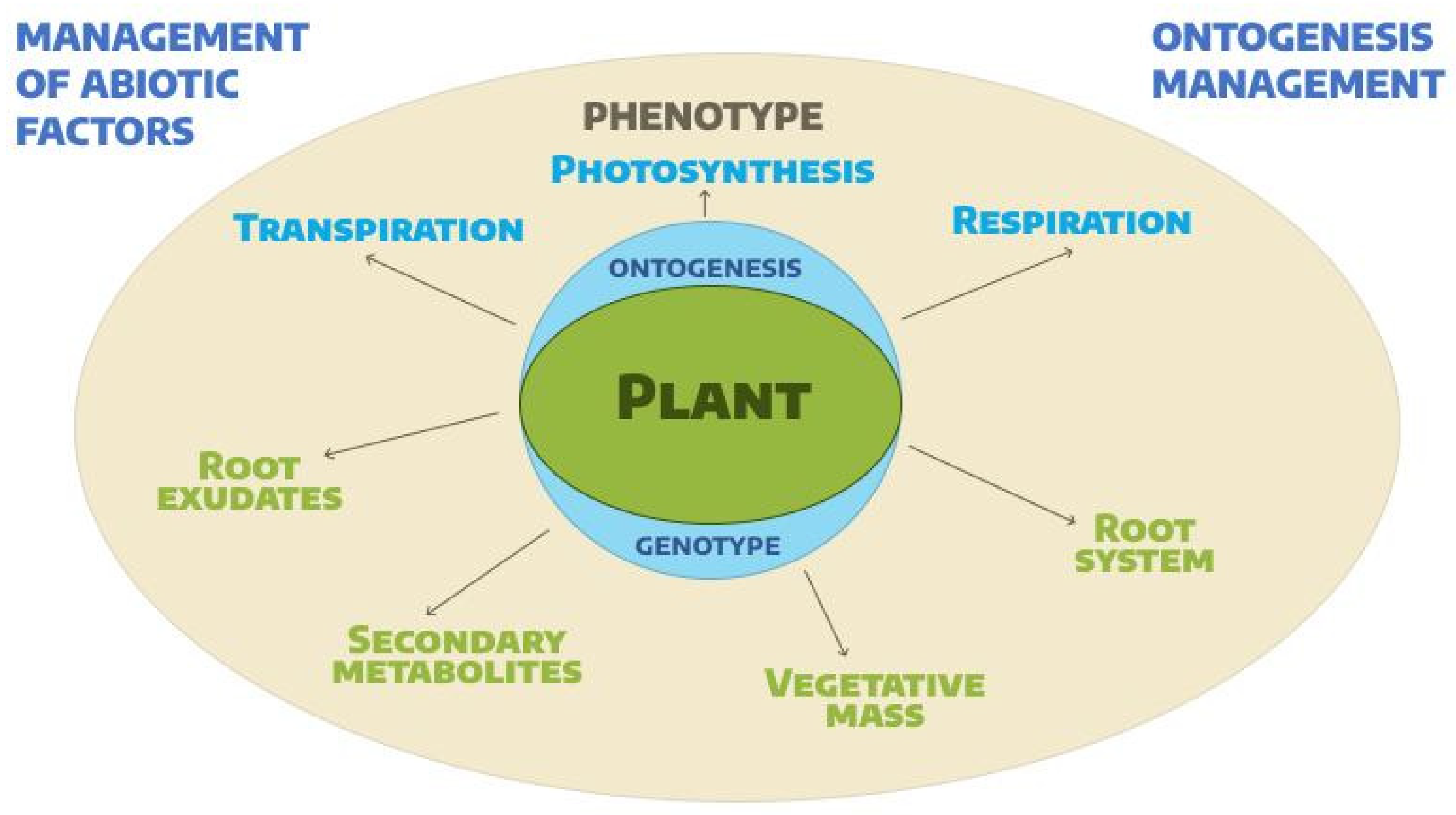 Plants 14 00363 g002