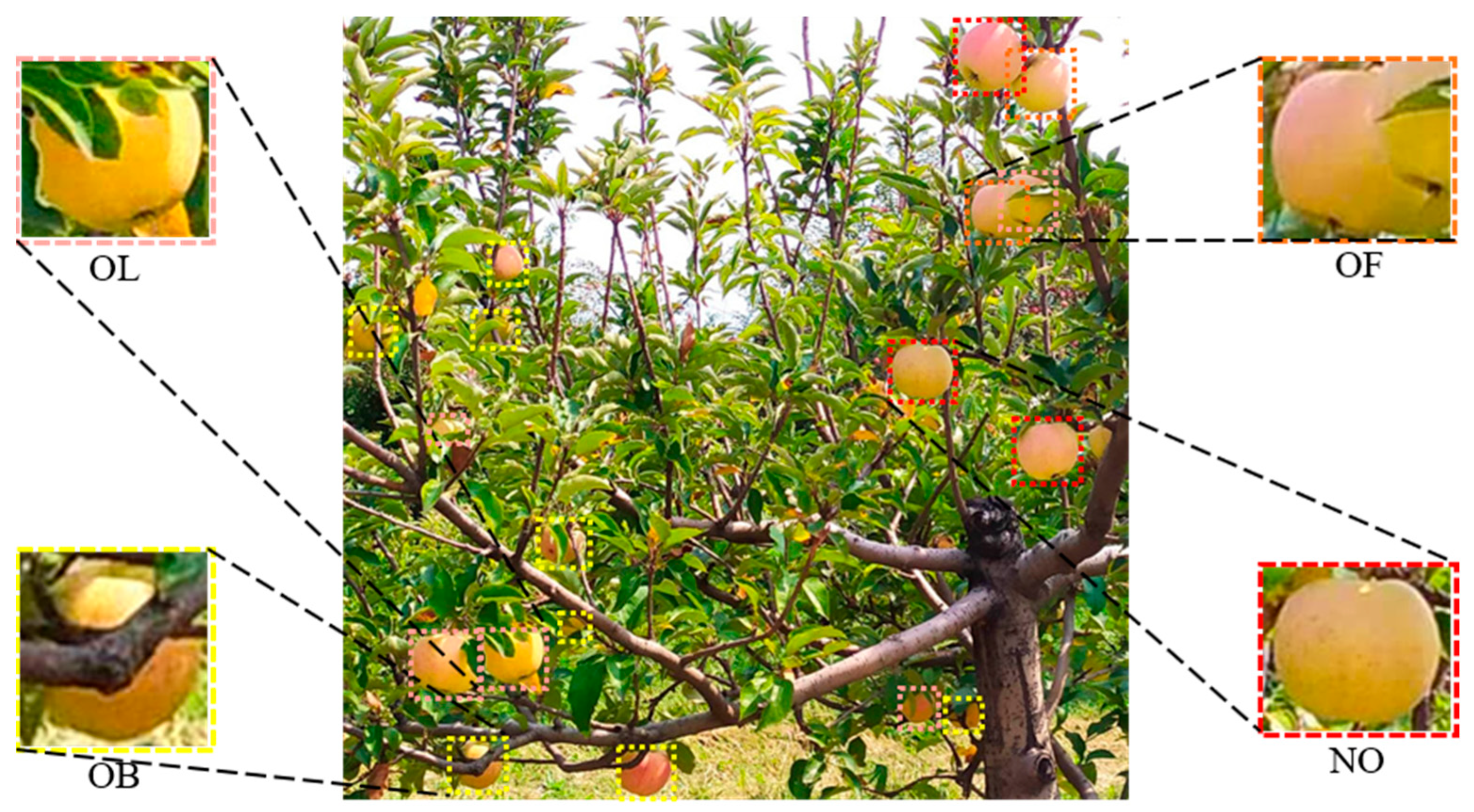 Plants 14 00365 g003