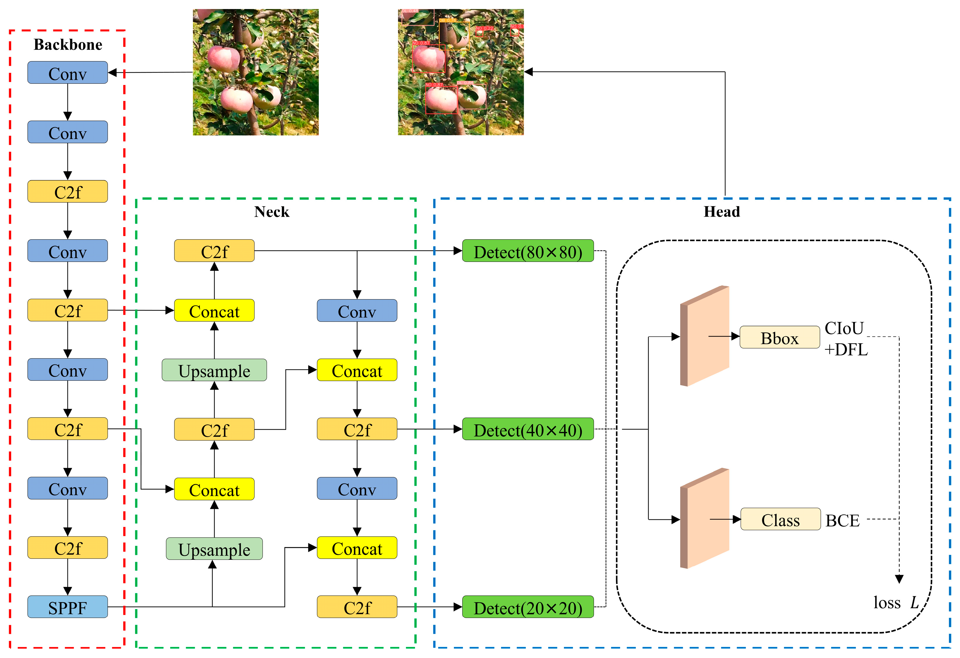 Plants 14 00365 g005