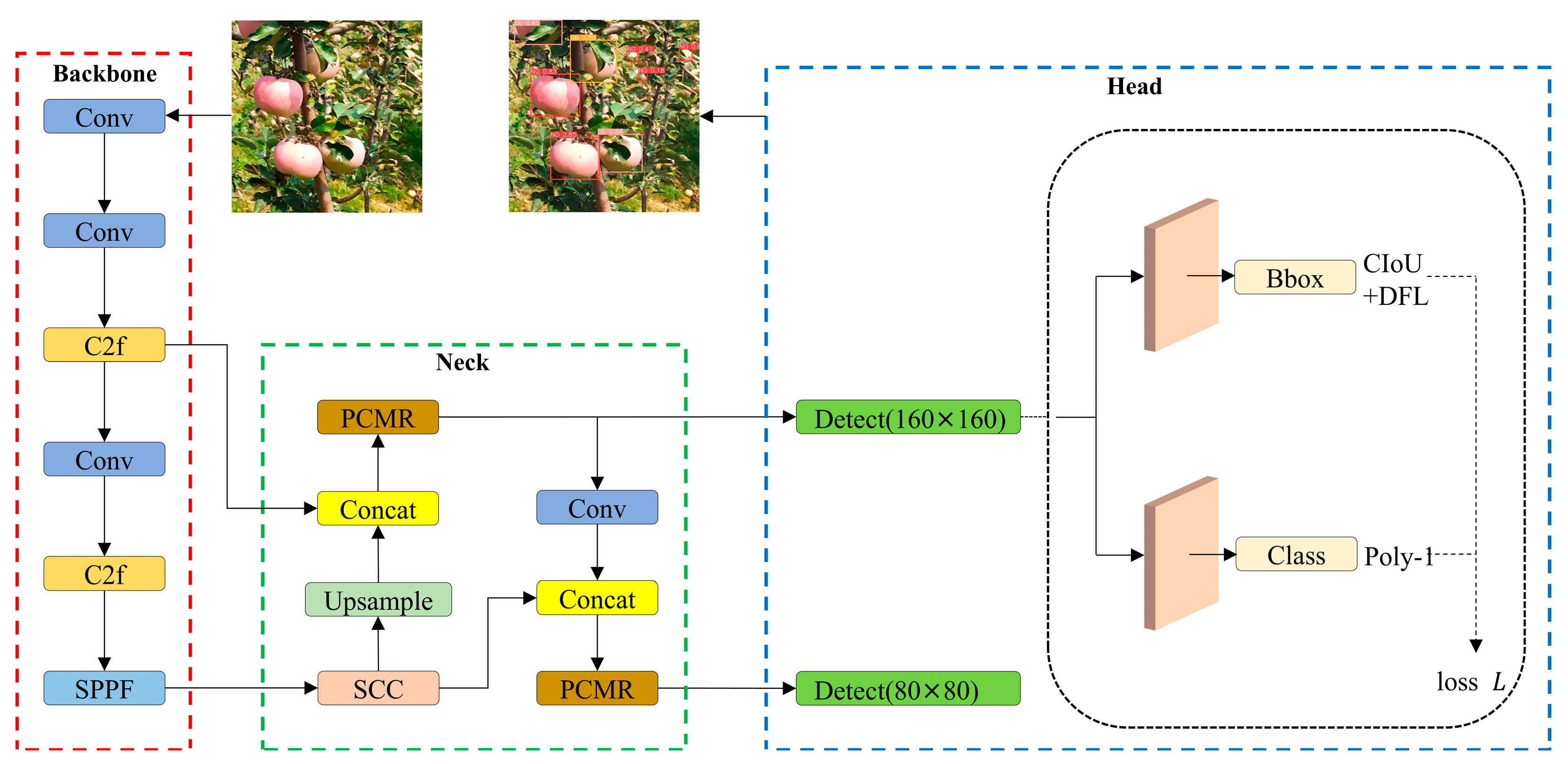 Plants 14 00365 g006