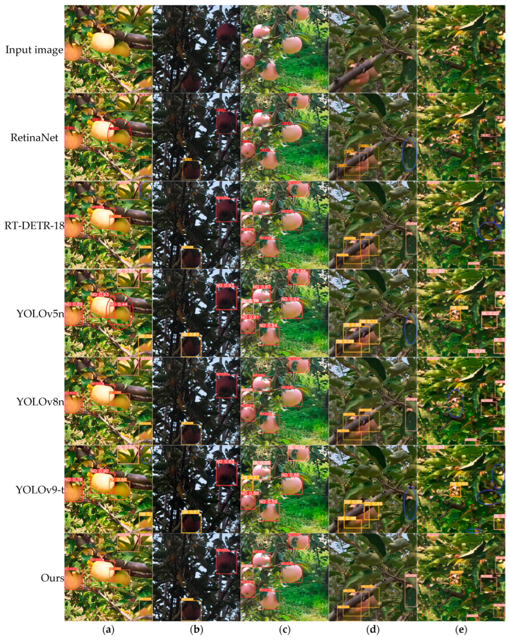 Plants 14 00365 g012