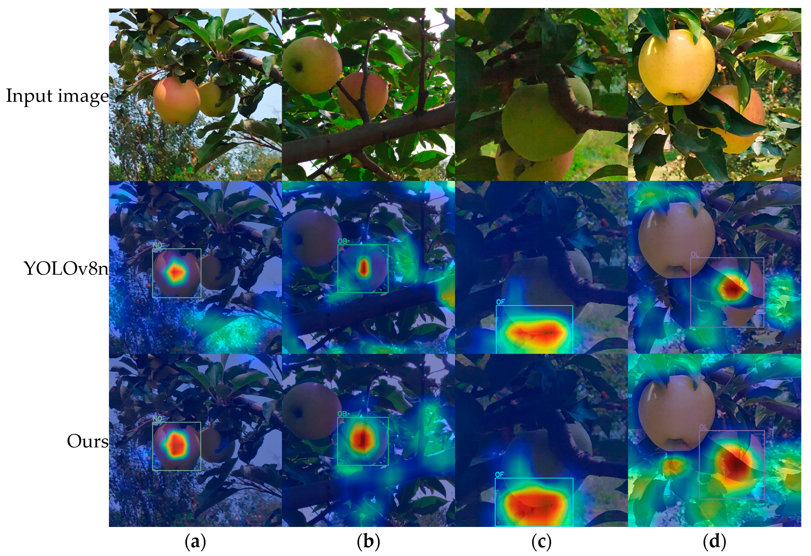 Plants 14 00365 g013