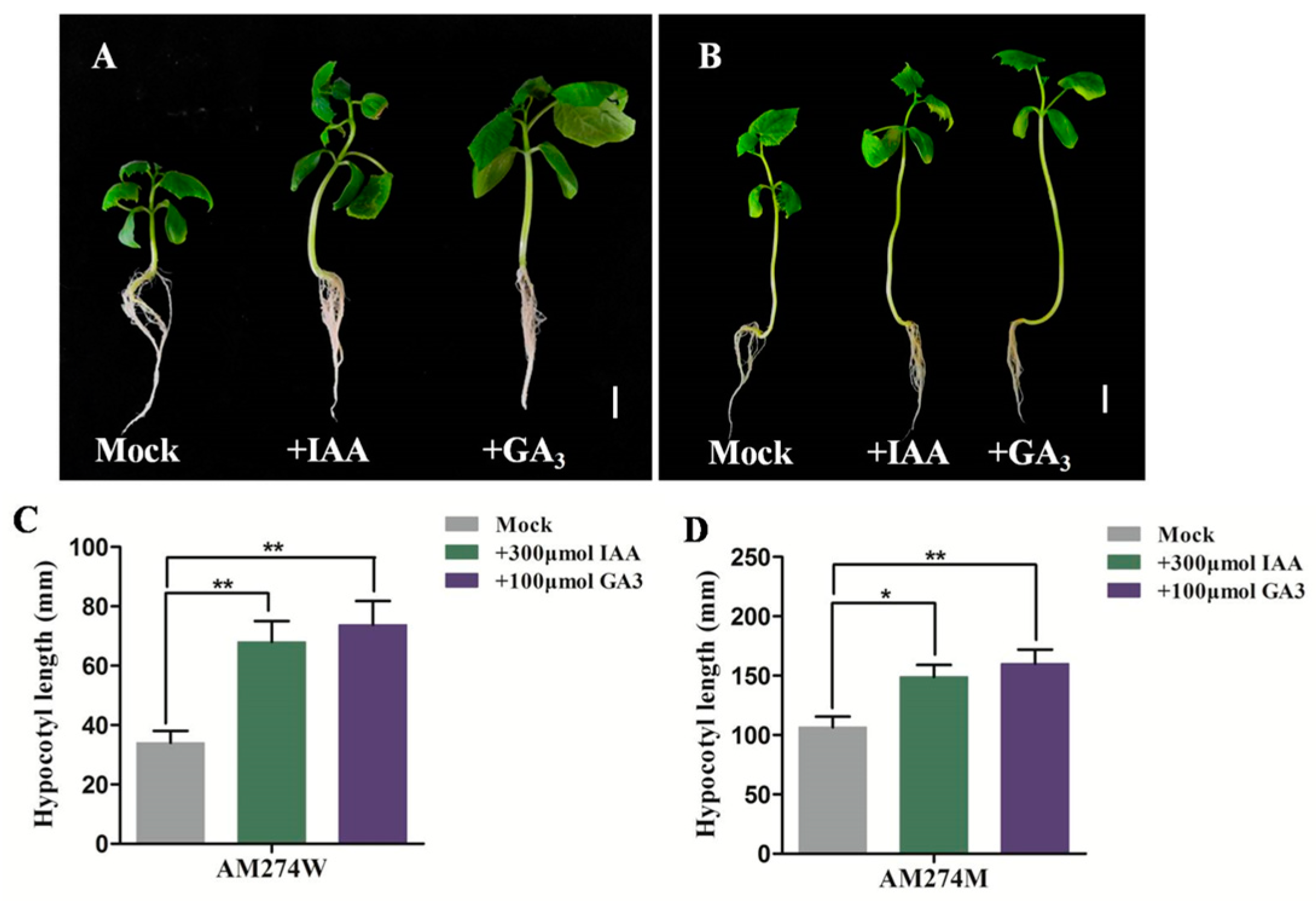 Plants 14 00371 g003