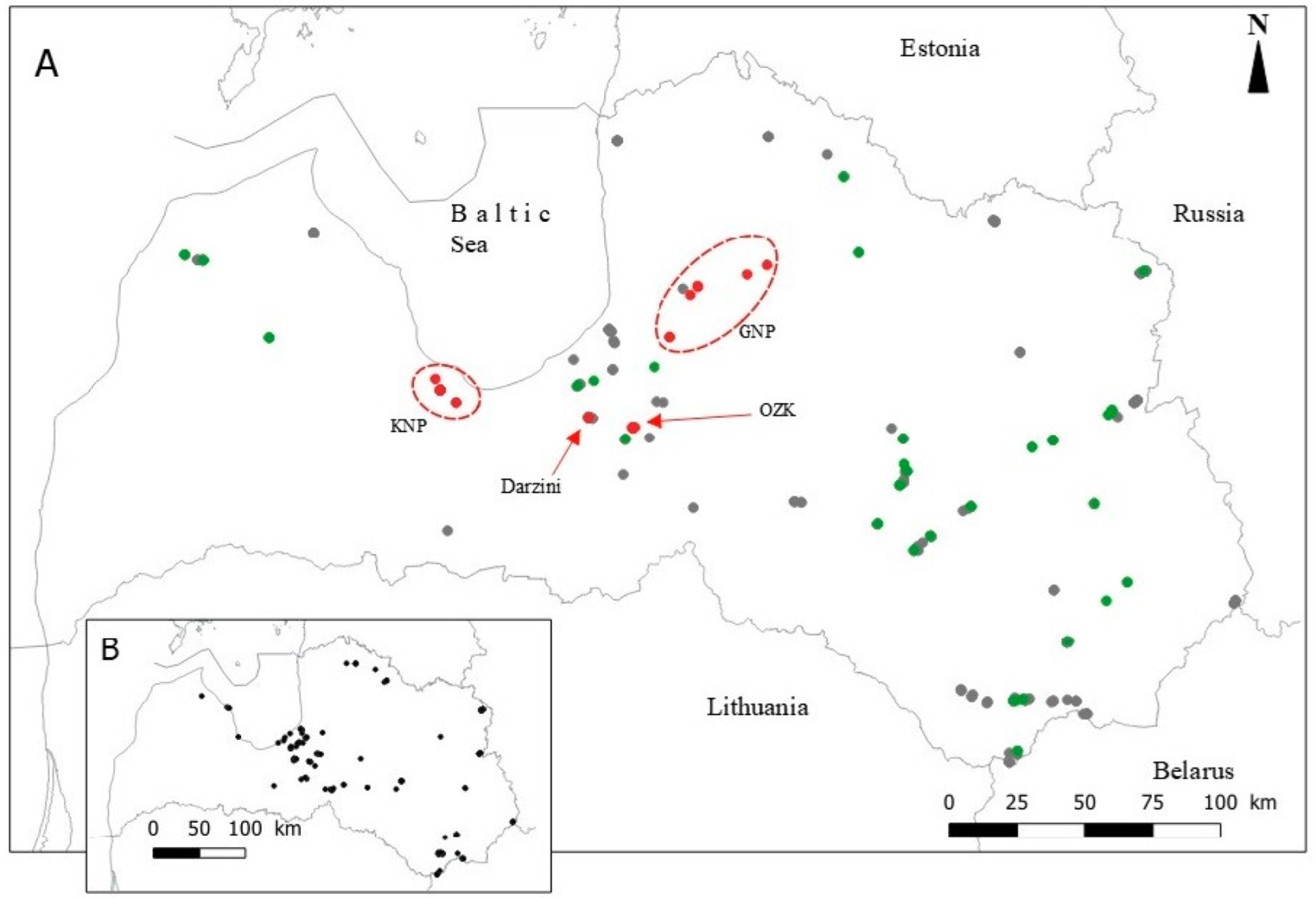 Plants 14 00375 g001