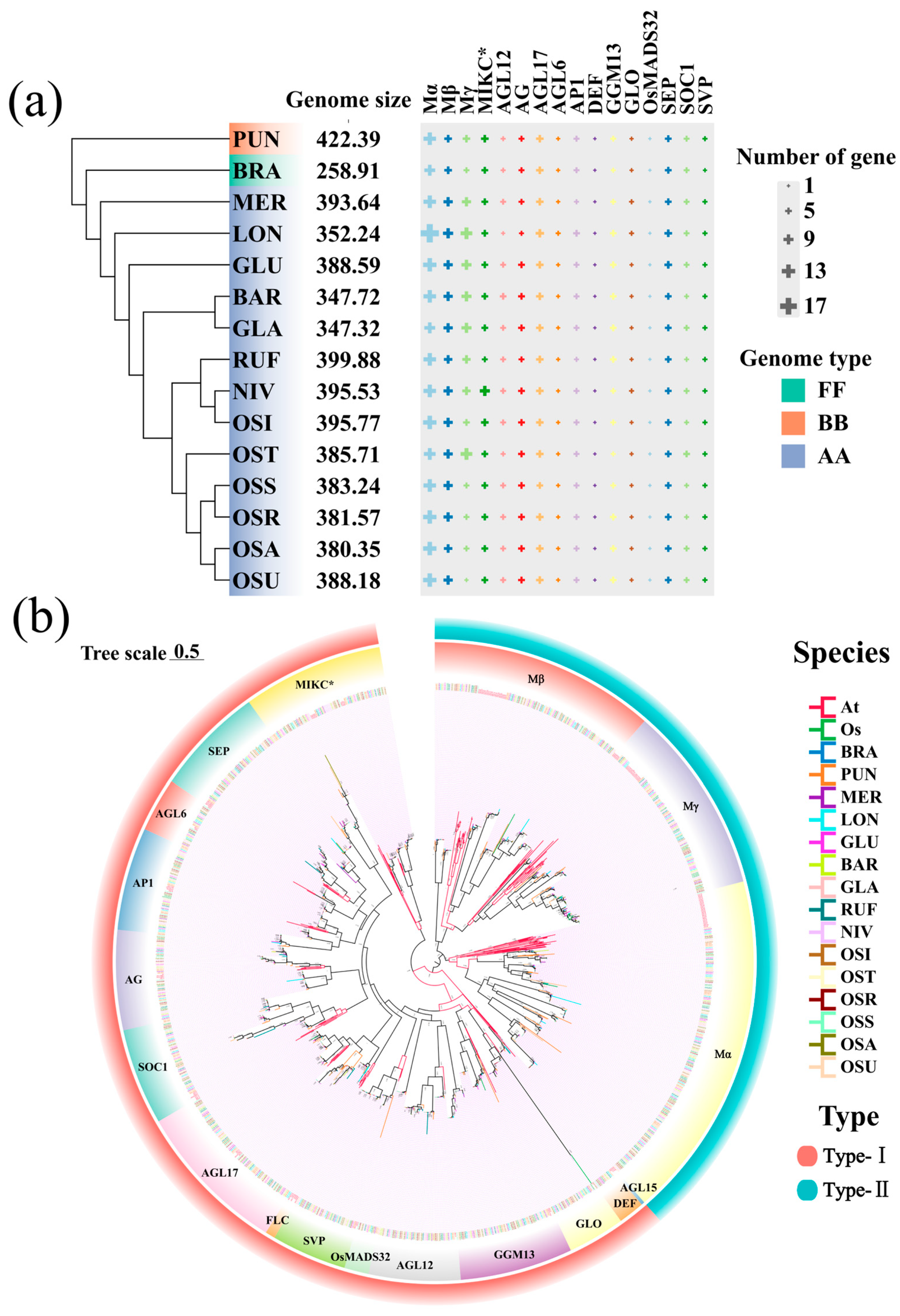 Plants 14 00379 g001 Plants 14 00379 g001