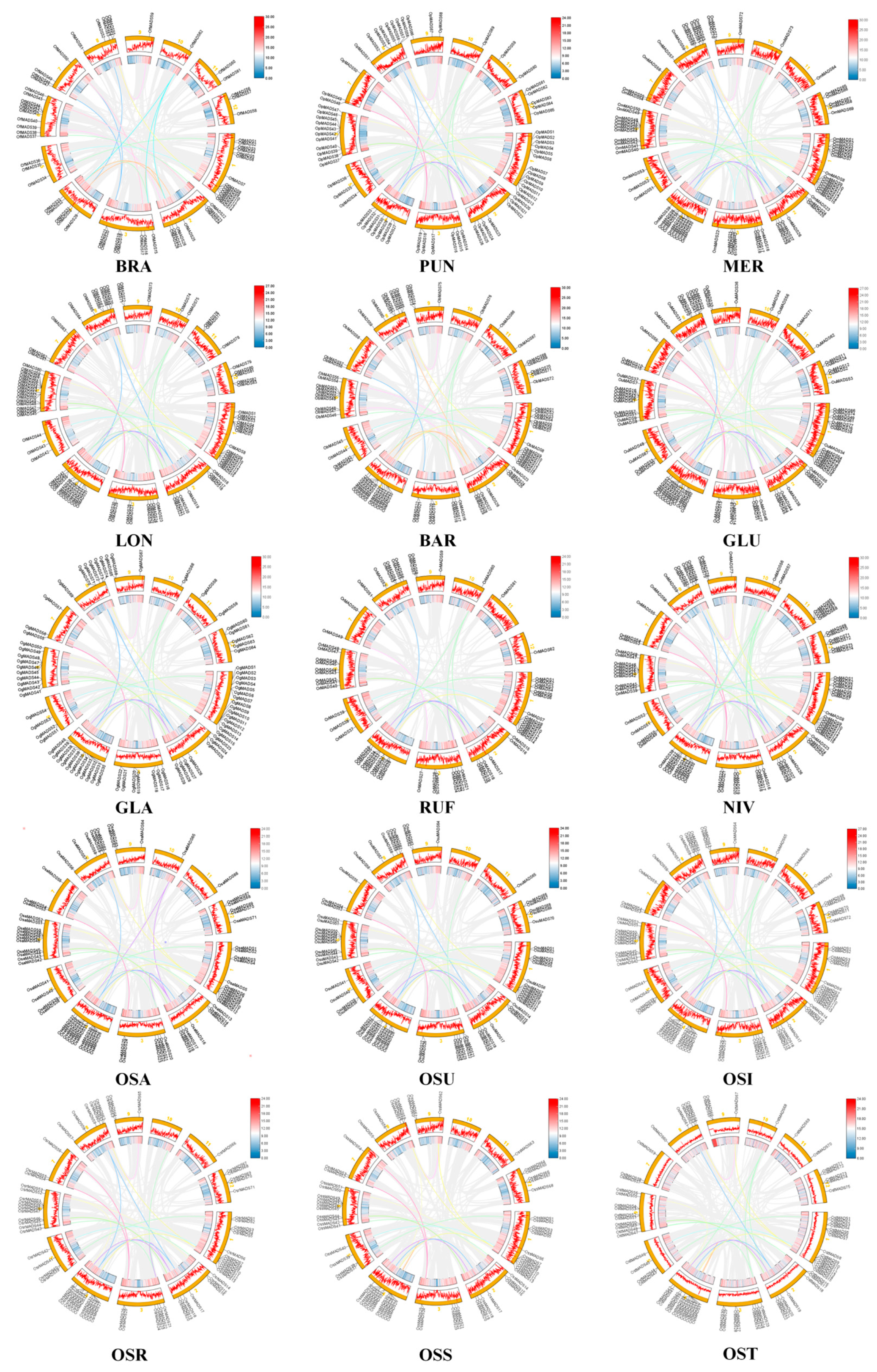 Plants 14 00379 g002 Plants 14 00379 g002