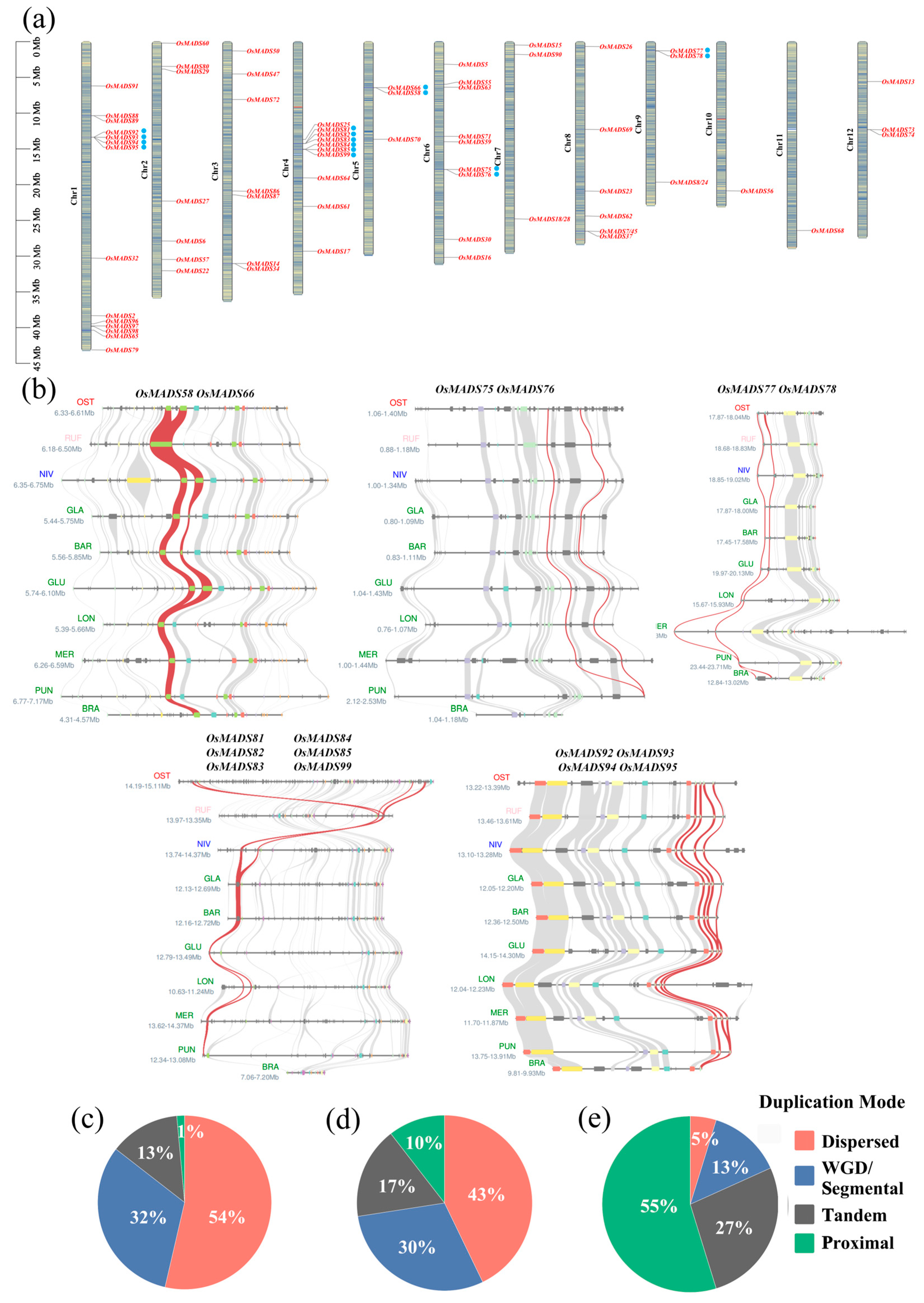 Plants 14 00379 g003 Plants 14 00379 g003