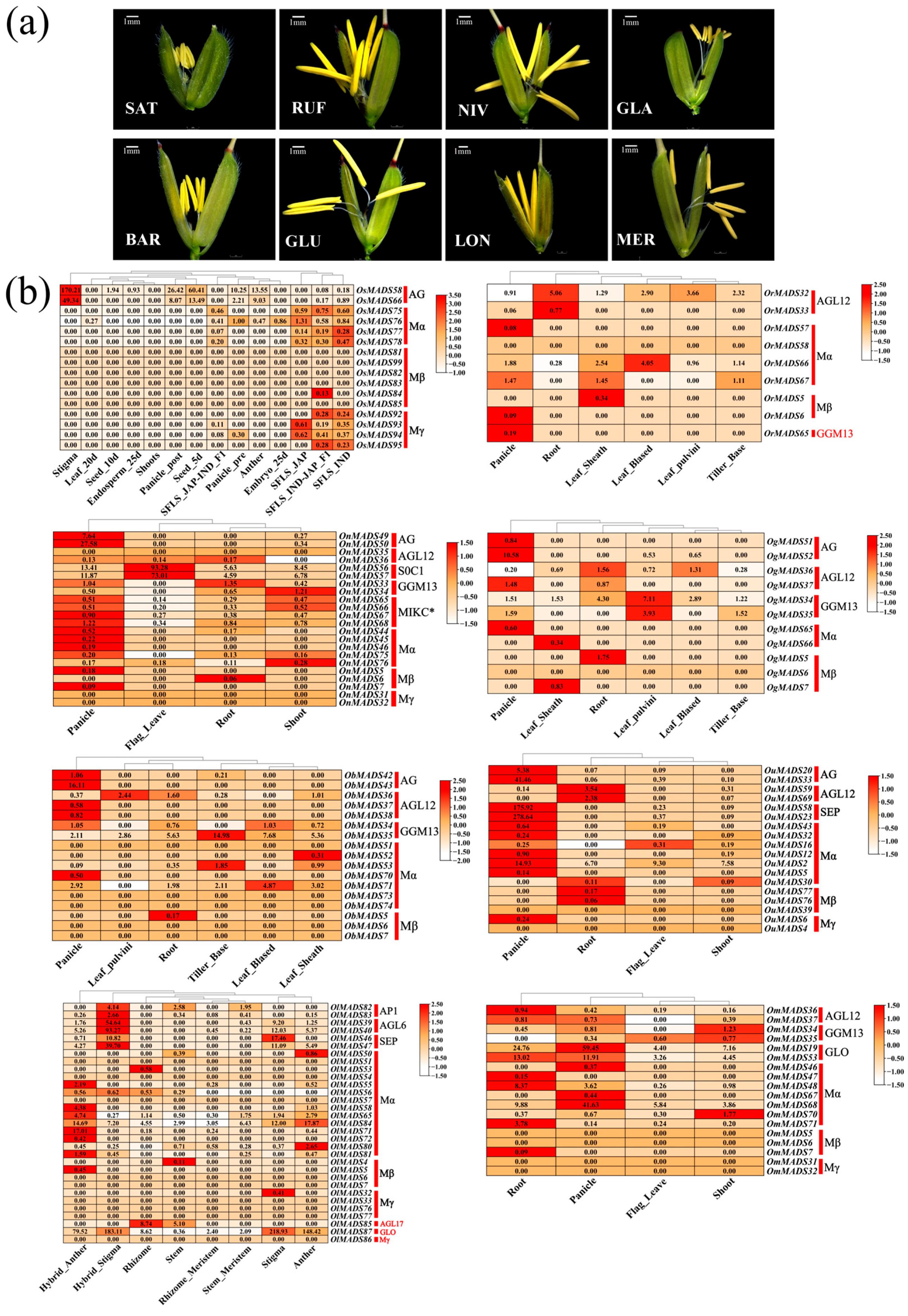 Plants 14 00379 g004 Plants 14 00379 g004