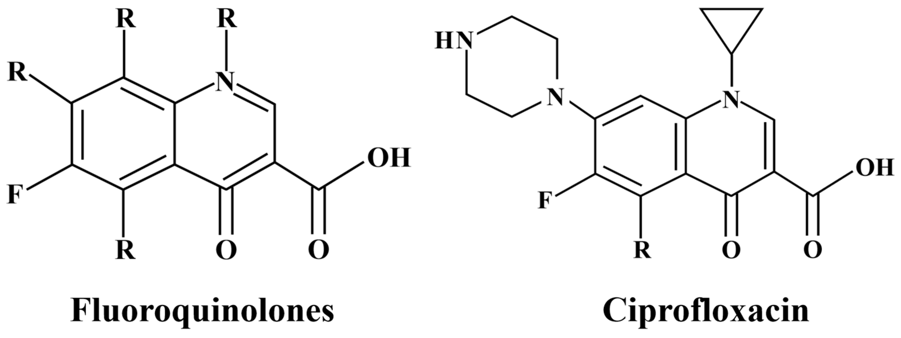 Plants 14 00380 g001