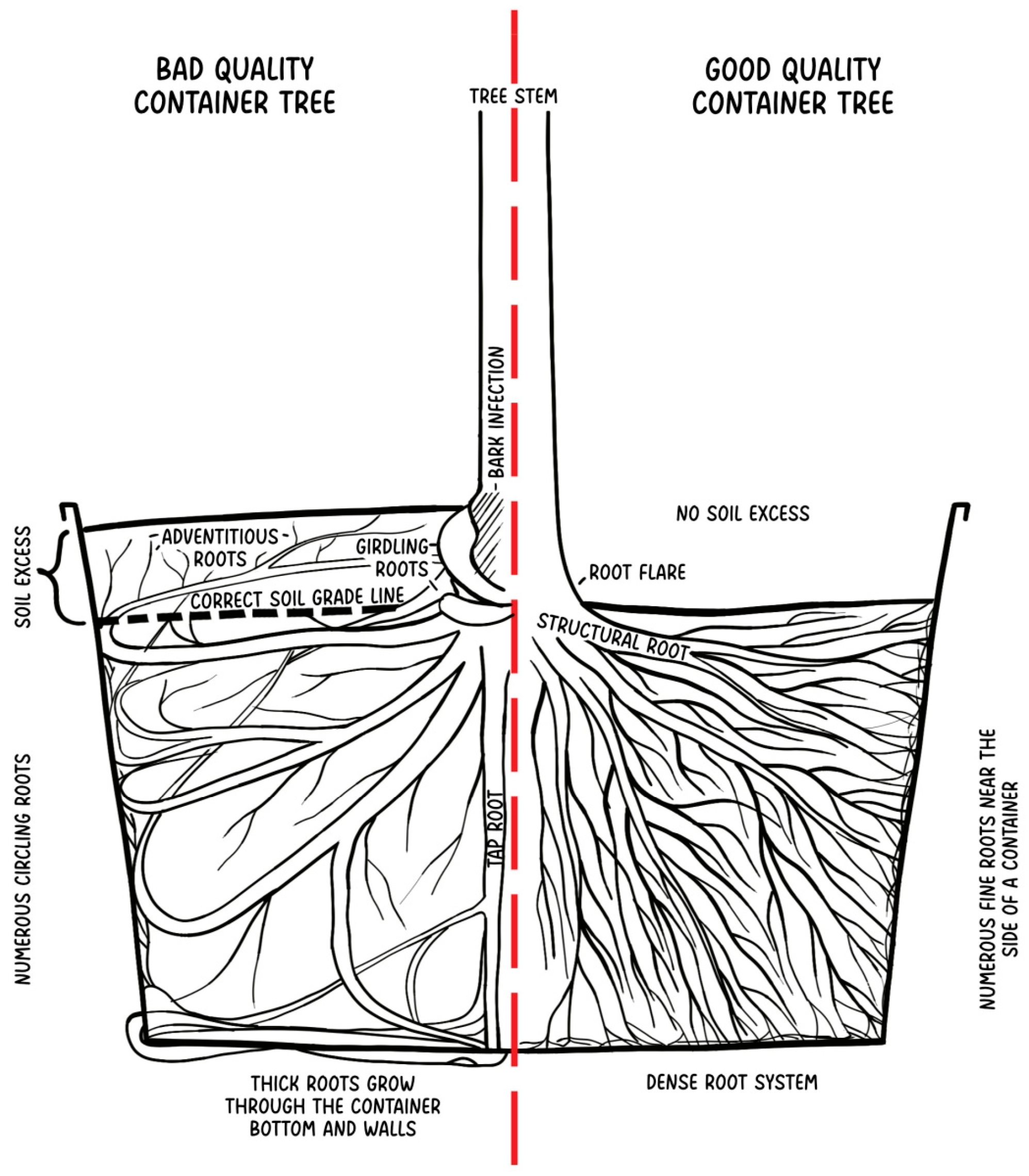 Plants 14 00387 g002 Plants 14 00387 g002