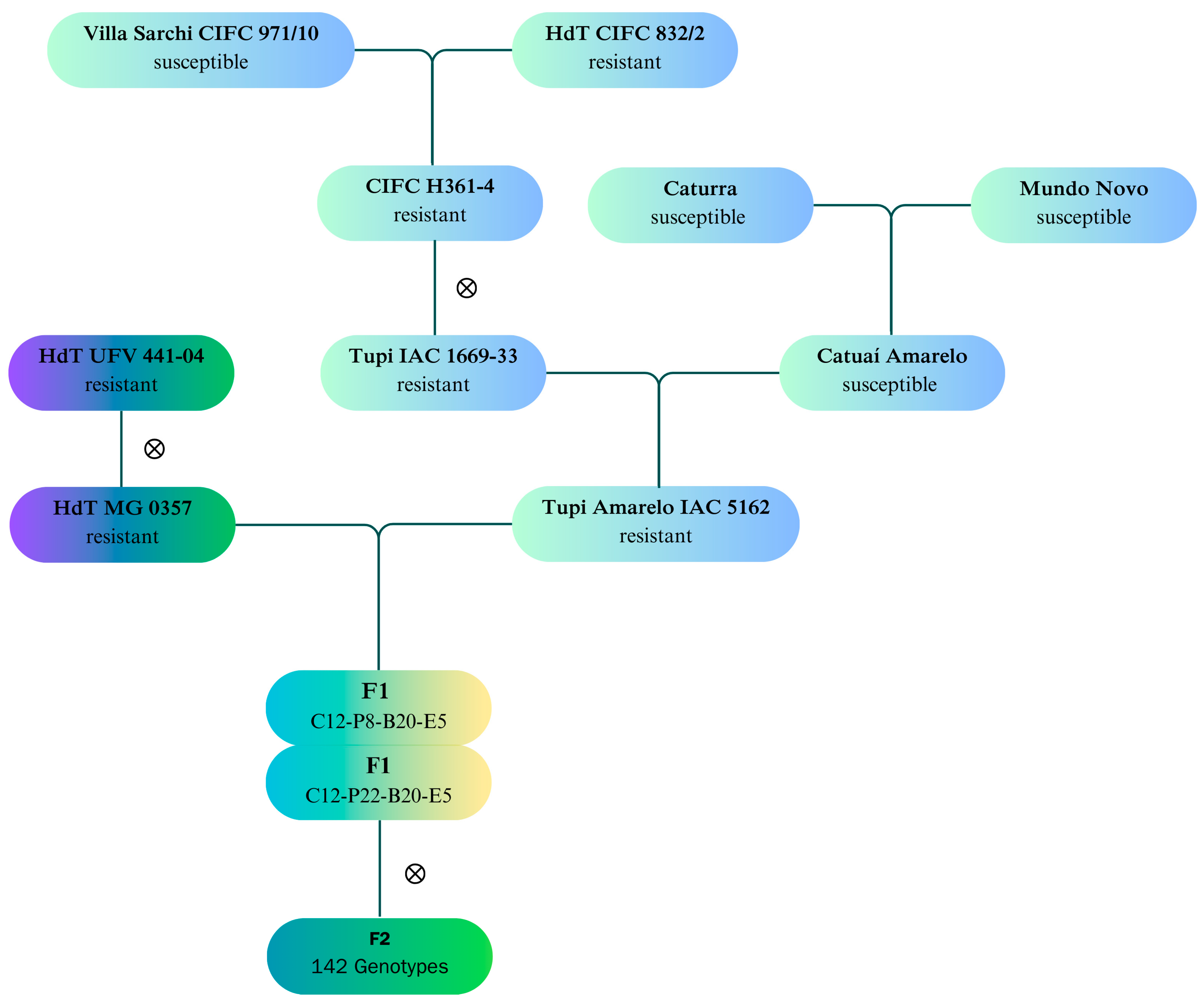 Plants 14 00391 g002