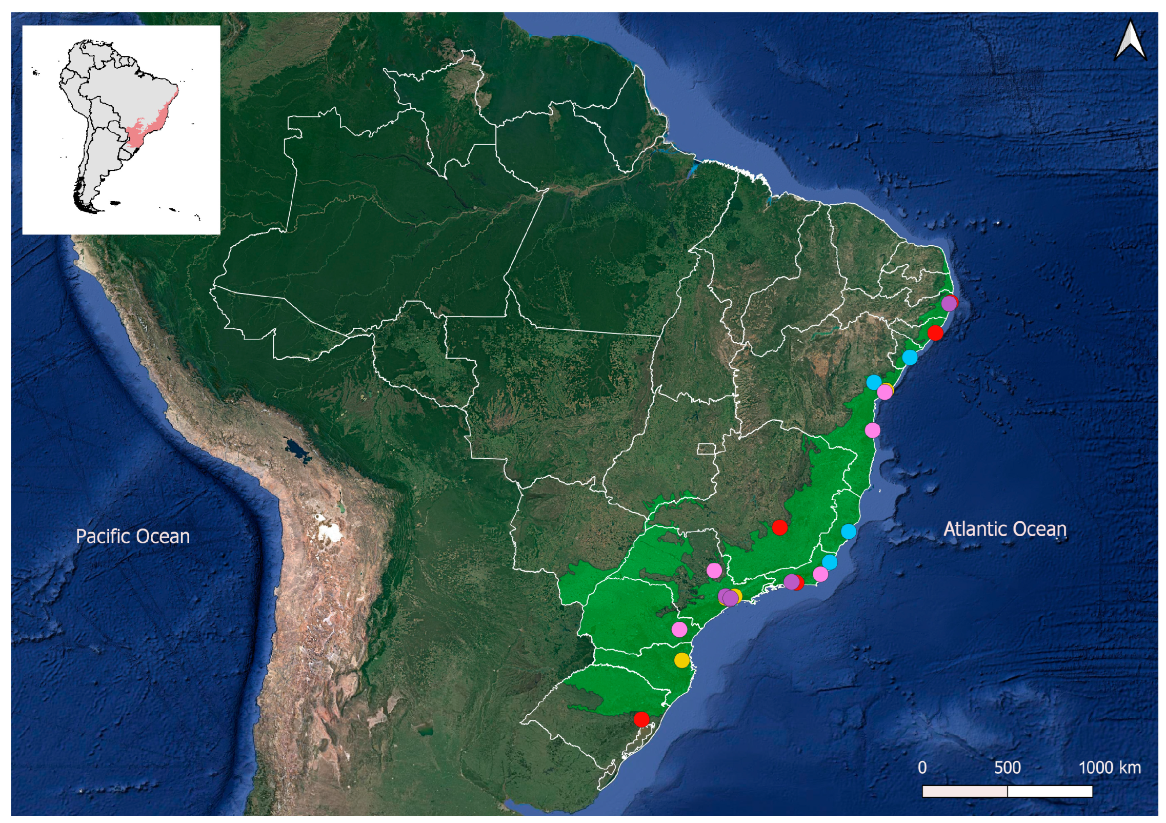 Plants 14 00392 g008