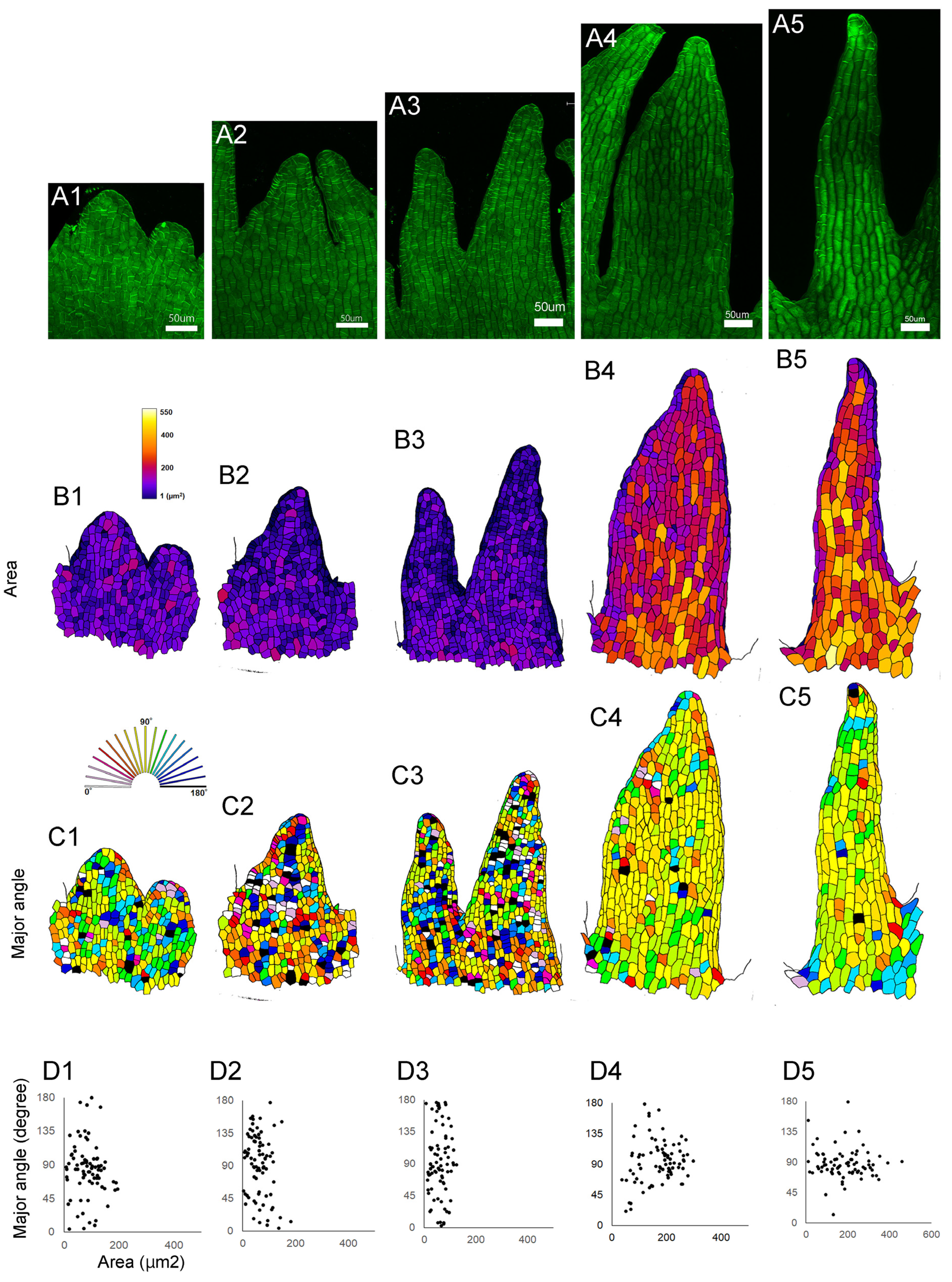 Plants 14 00393 g003 Plants 14 00393 g003