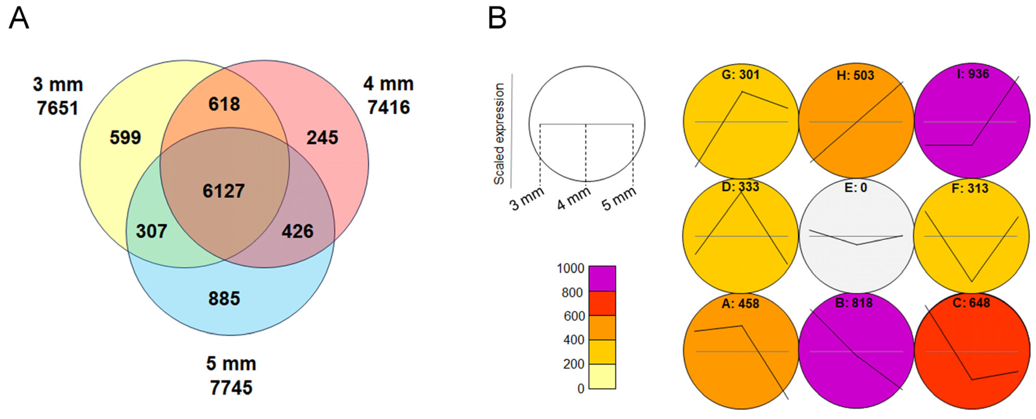 Plants 14 00393 g004 Plants 14 00393 g004