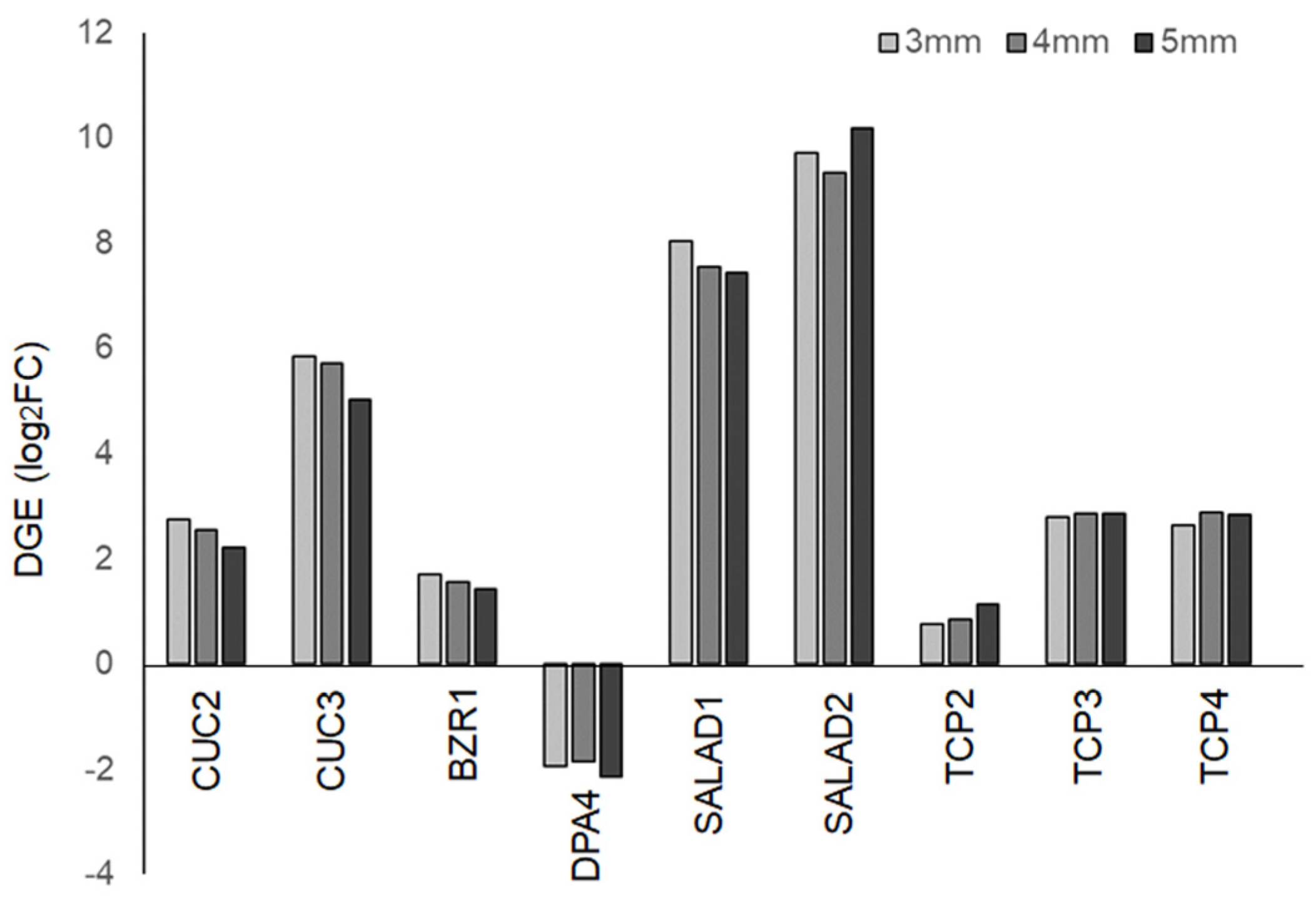 Plants 14 00393 g007 Plants 14 00393 g007