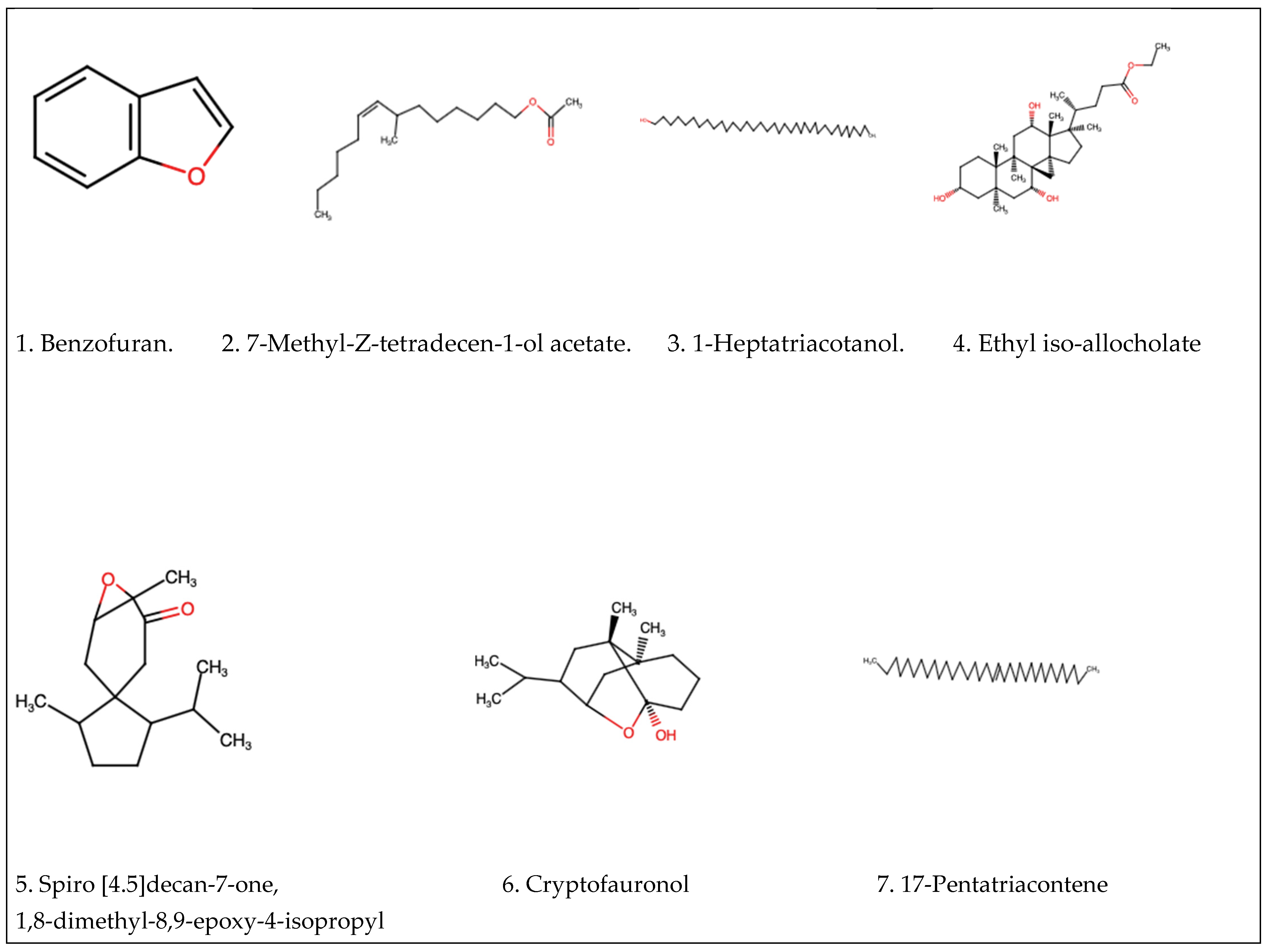 Plants 14 00395 g001