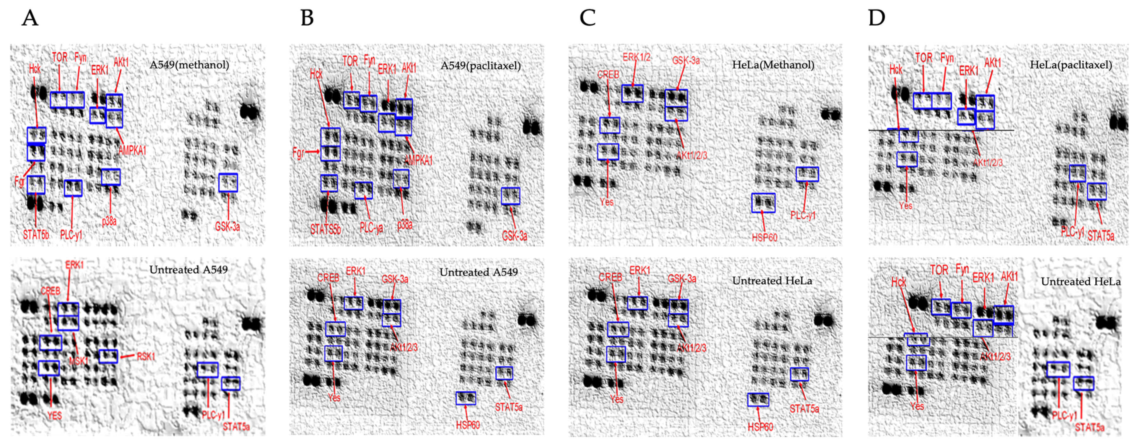 Plants 14 00395 g004