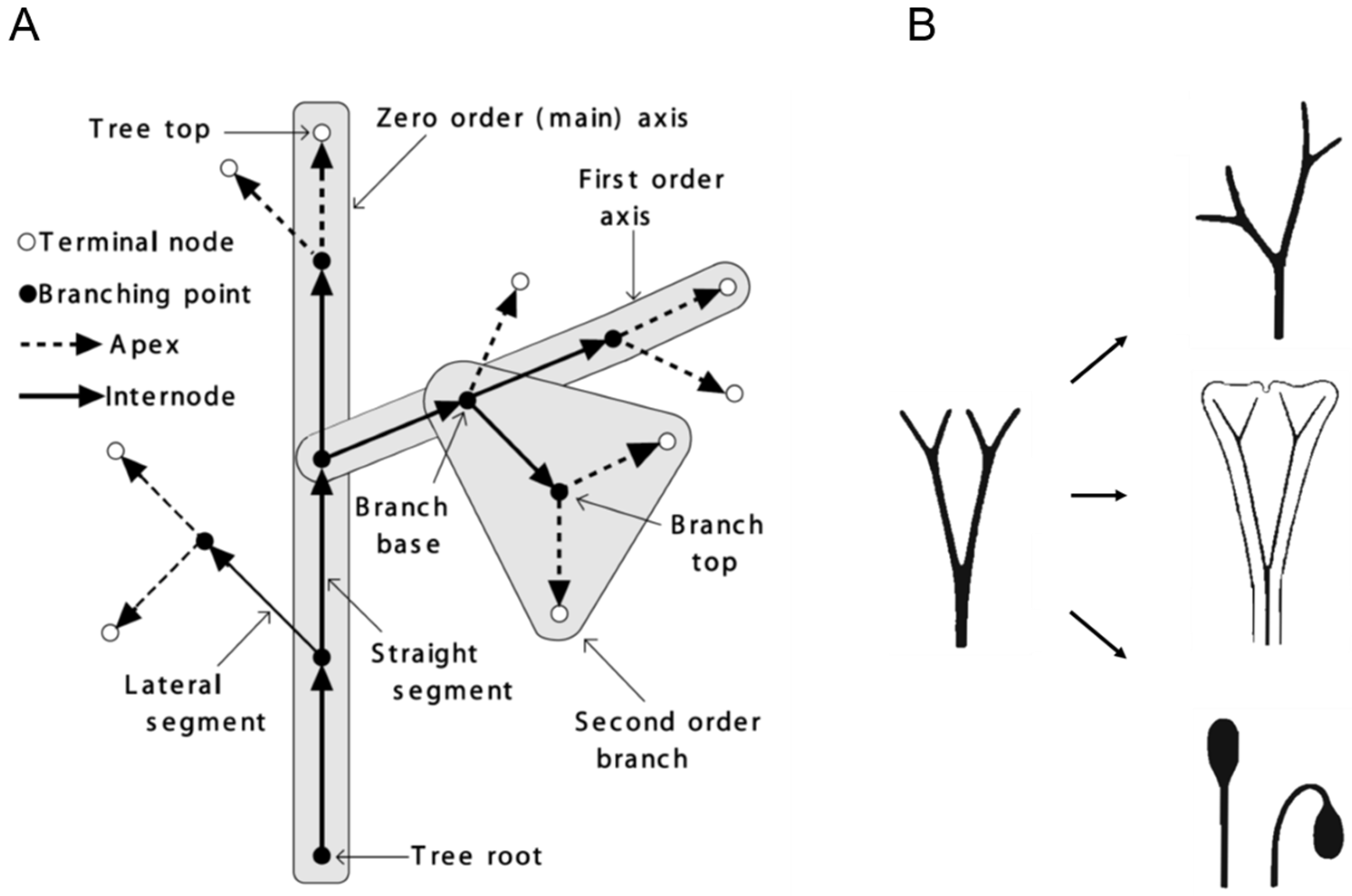 Plants 14 00396 g003