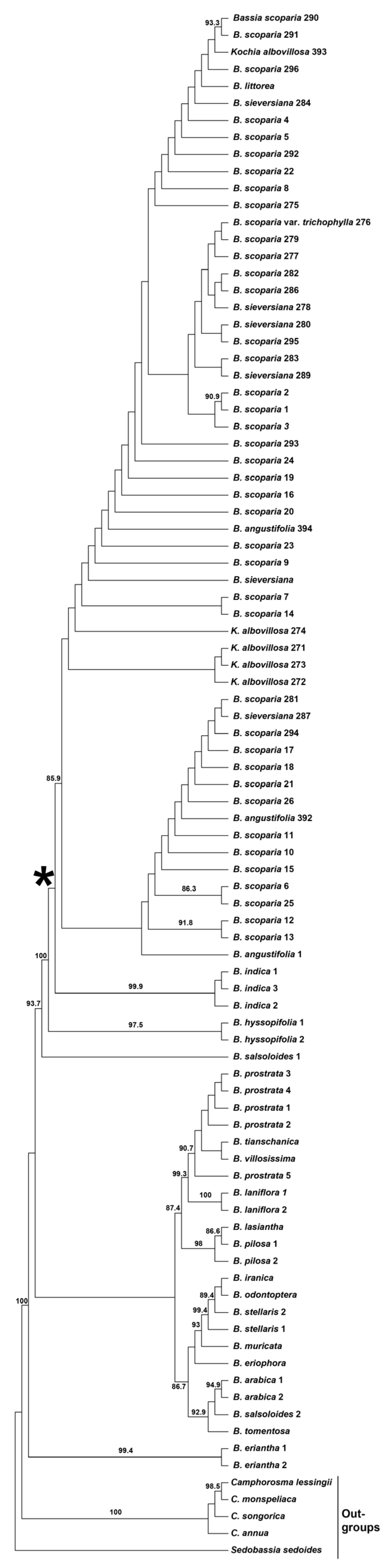 Plants 14 00398 g001