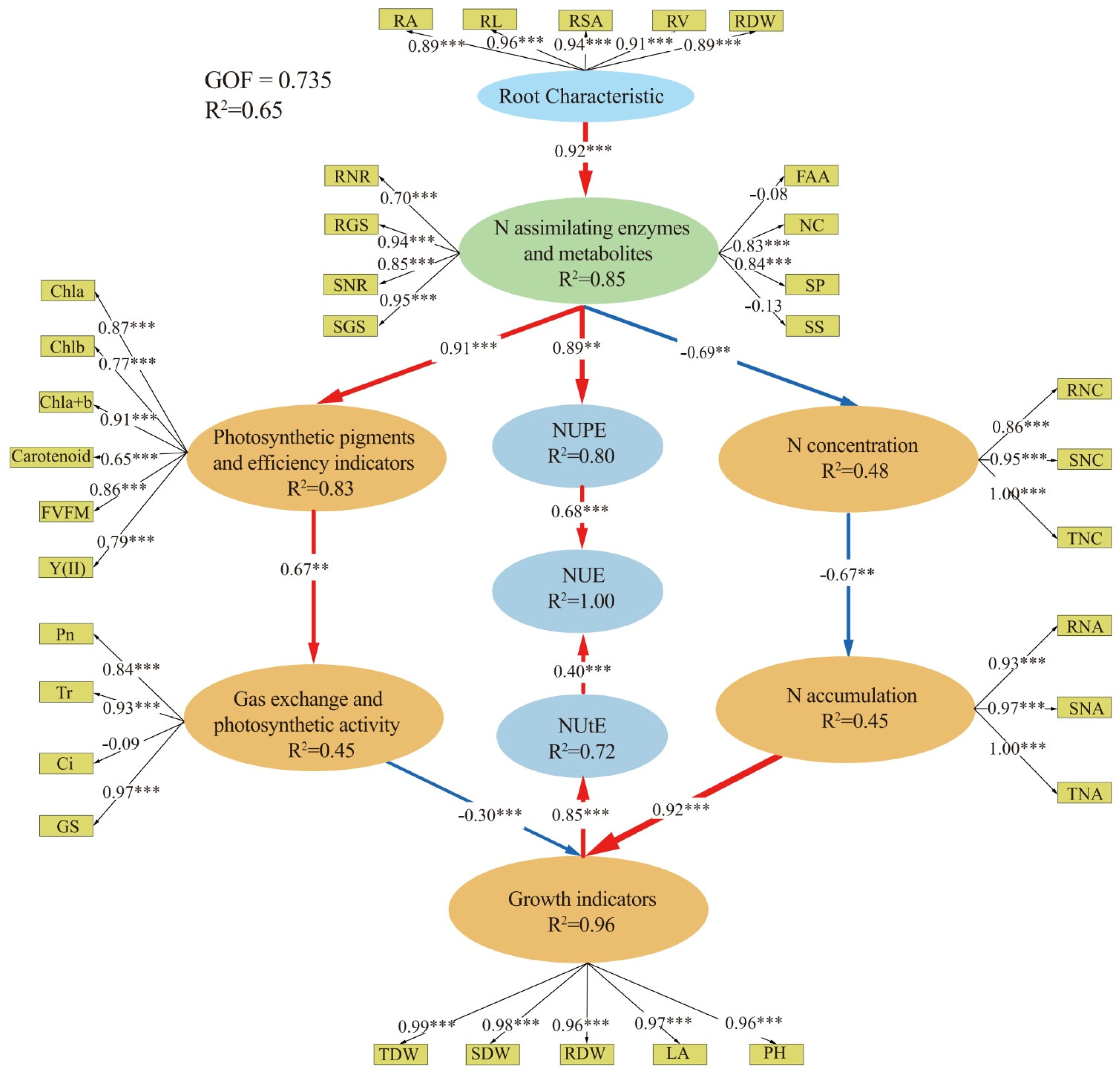 Plants 14 00399 g006