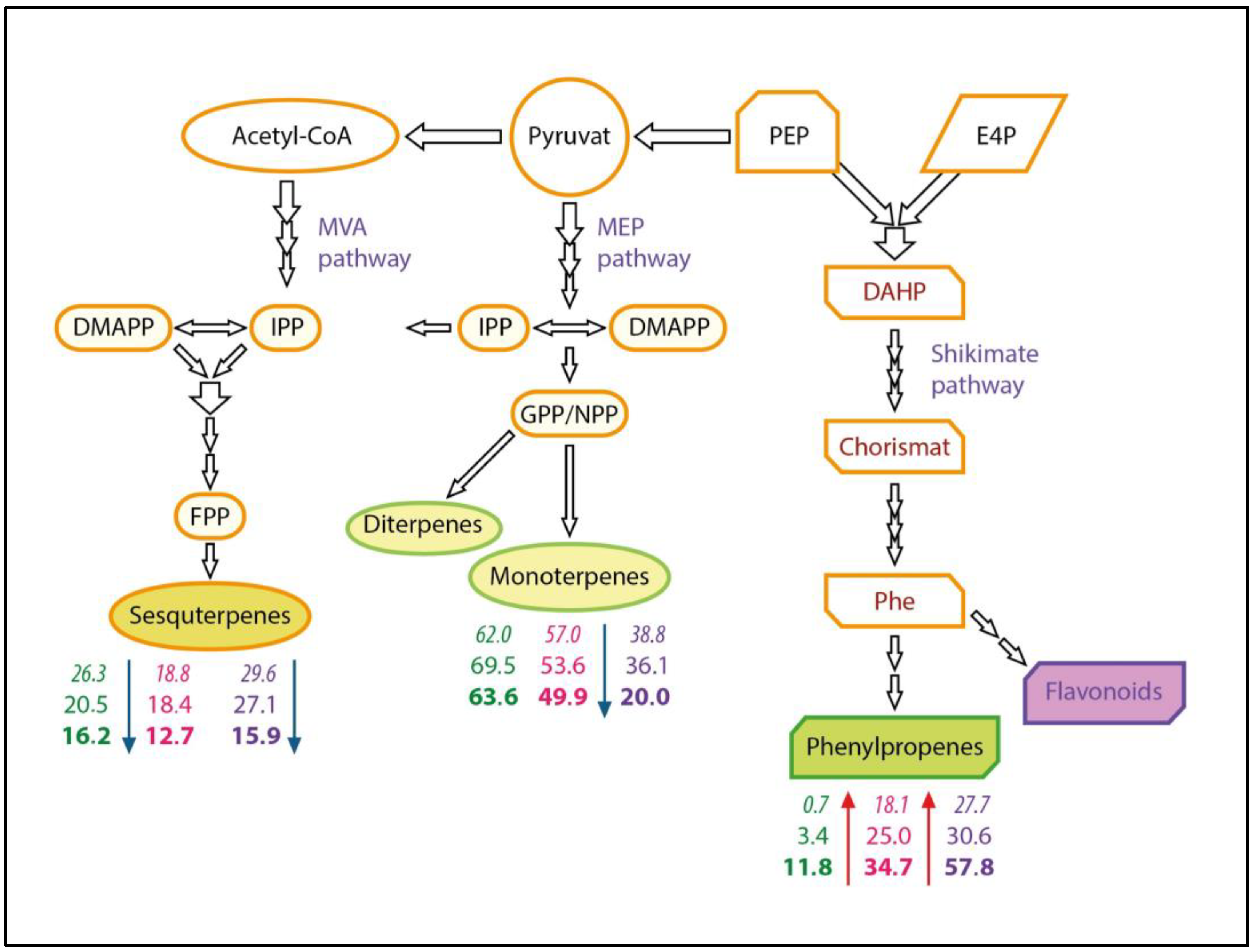 Plants 14 00403 g005